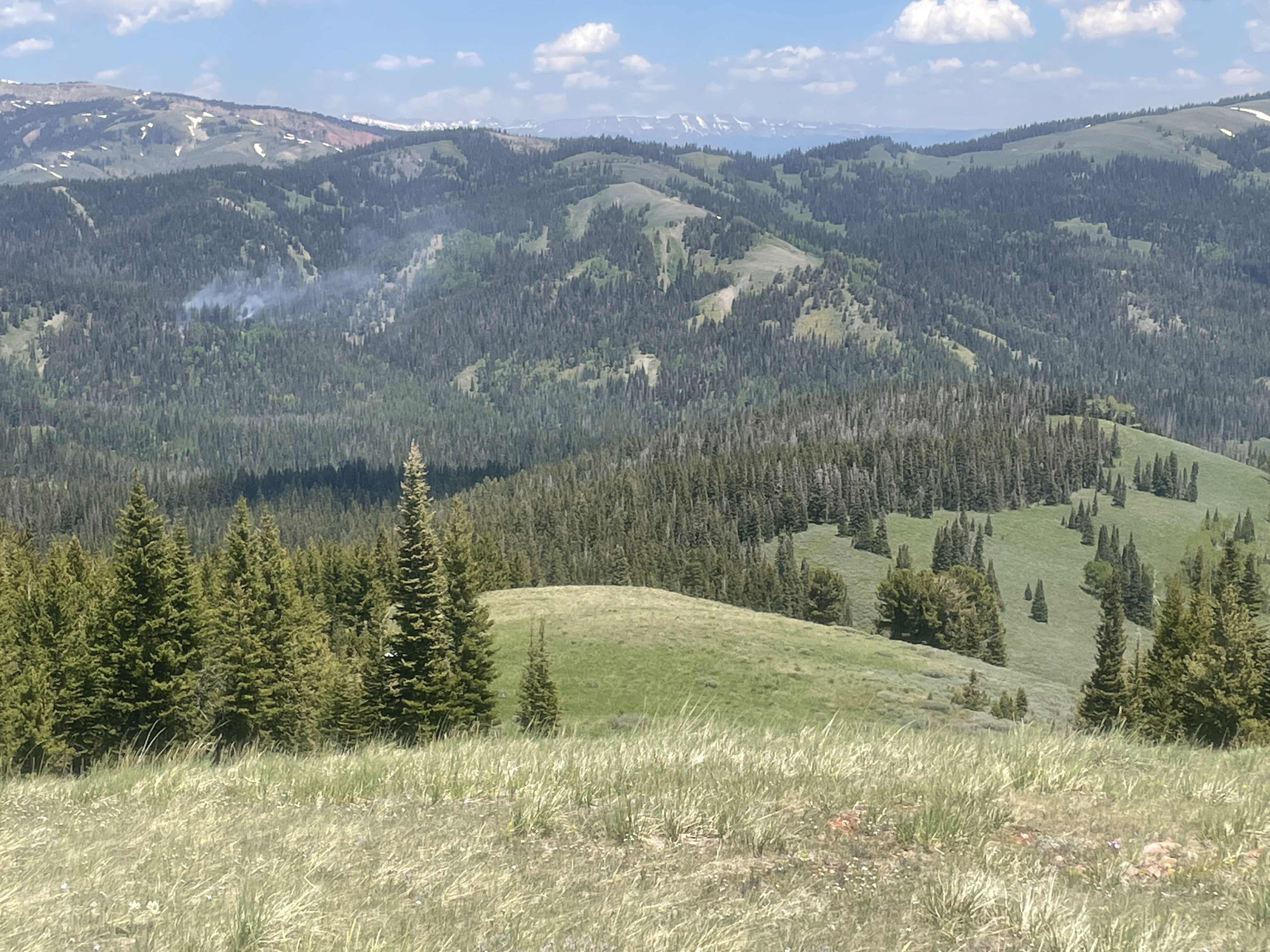 

						Horse Fire Bridger-Teton
			