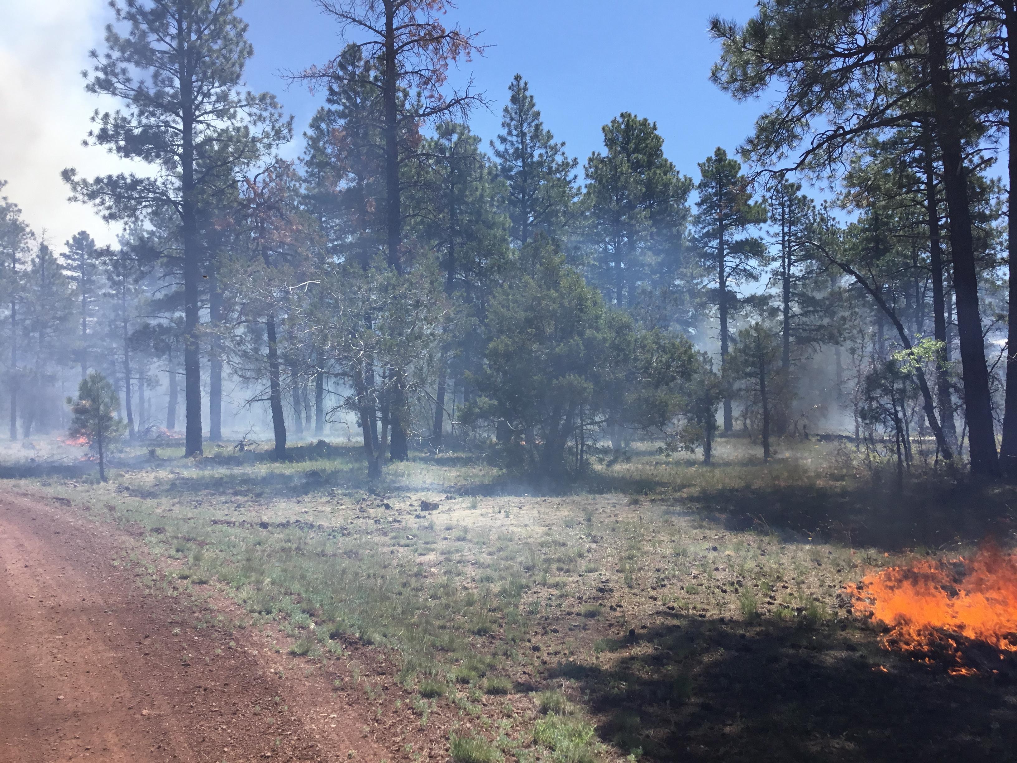 Ground fire along west perimeter