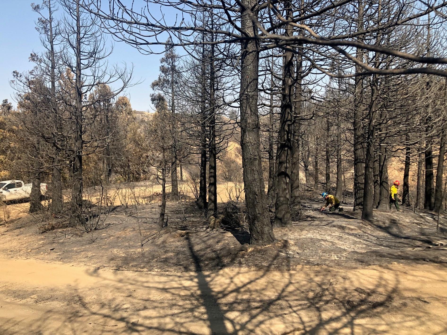 Photo showing BAER Specialists Assessing the Lake Burn Area