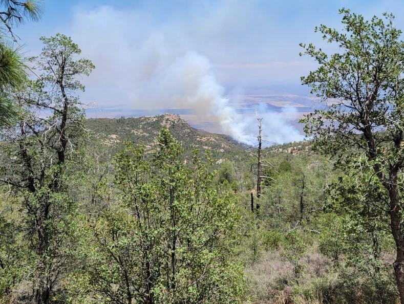 Tiger Fire view from Horsethief Lookout