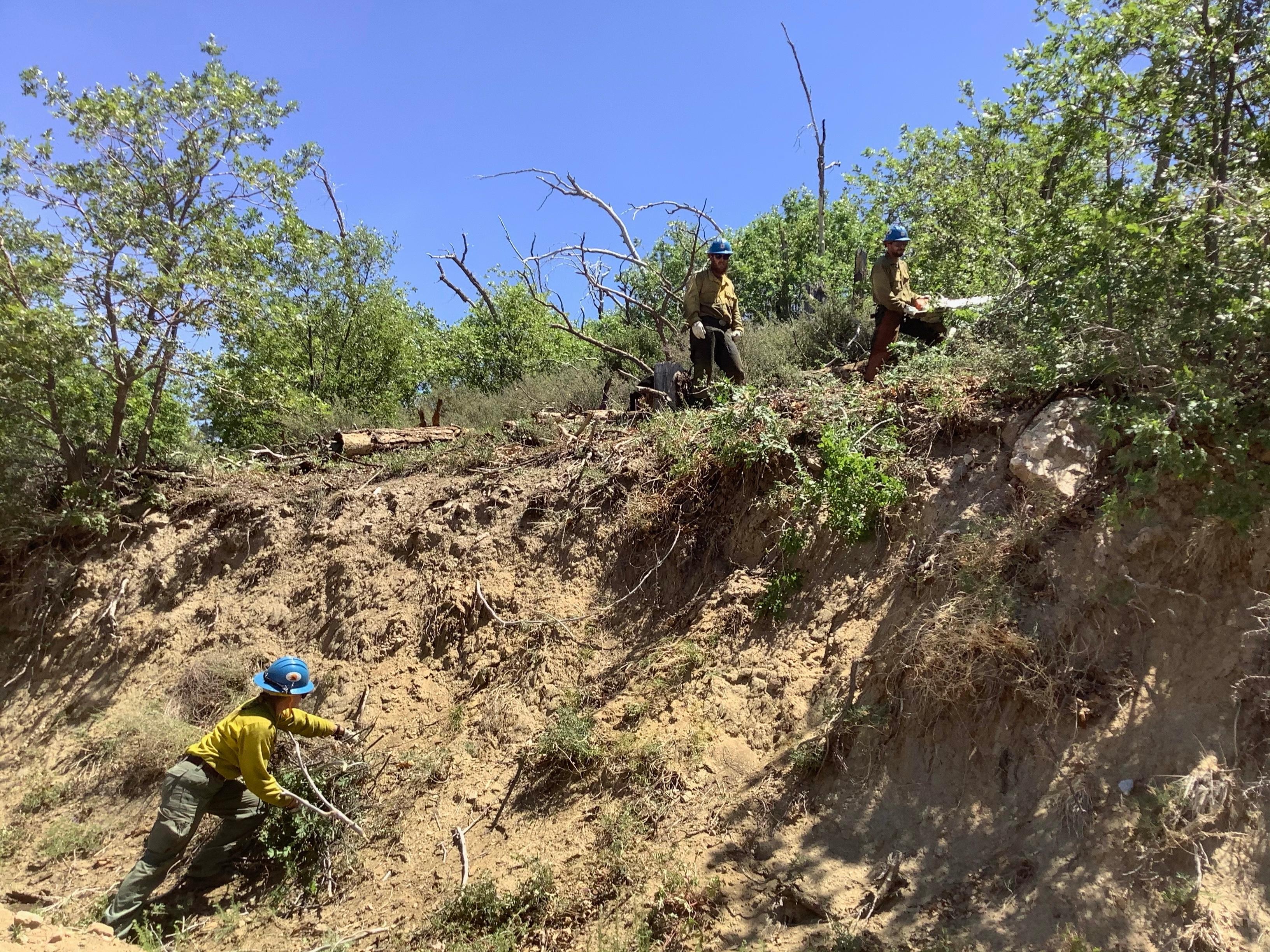 Crews working along a hill thinning around brush and small trees July 7. 2021