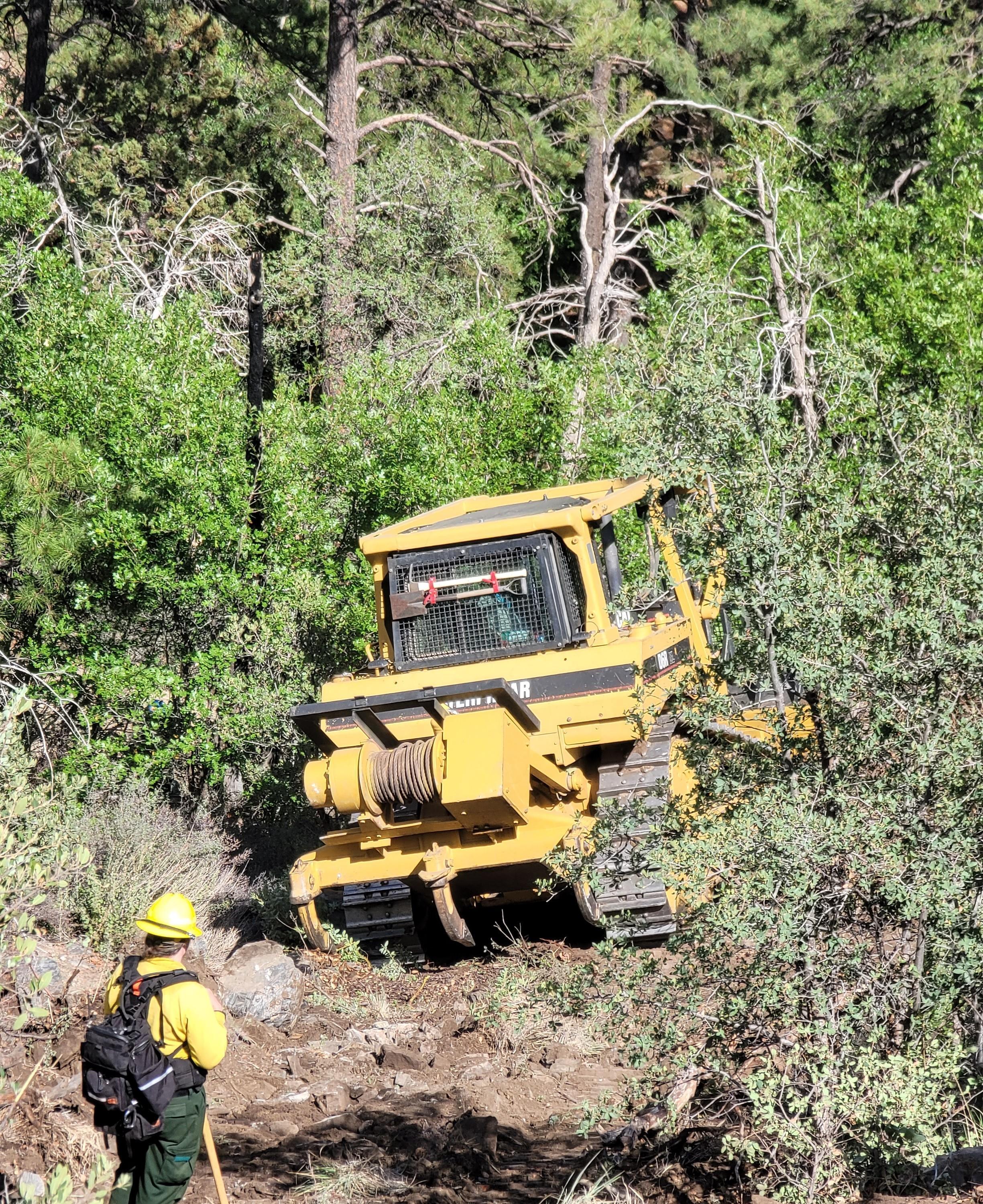 Constructing dozer line a bull dozer cuts through brush firefighter stands nearby to spot driver. 7-9-21