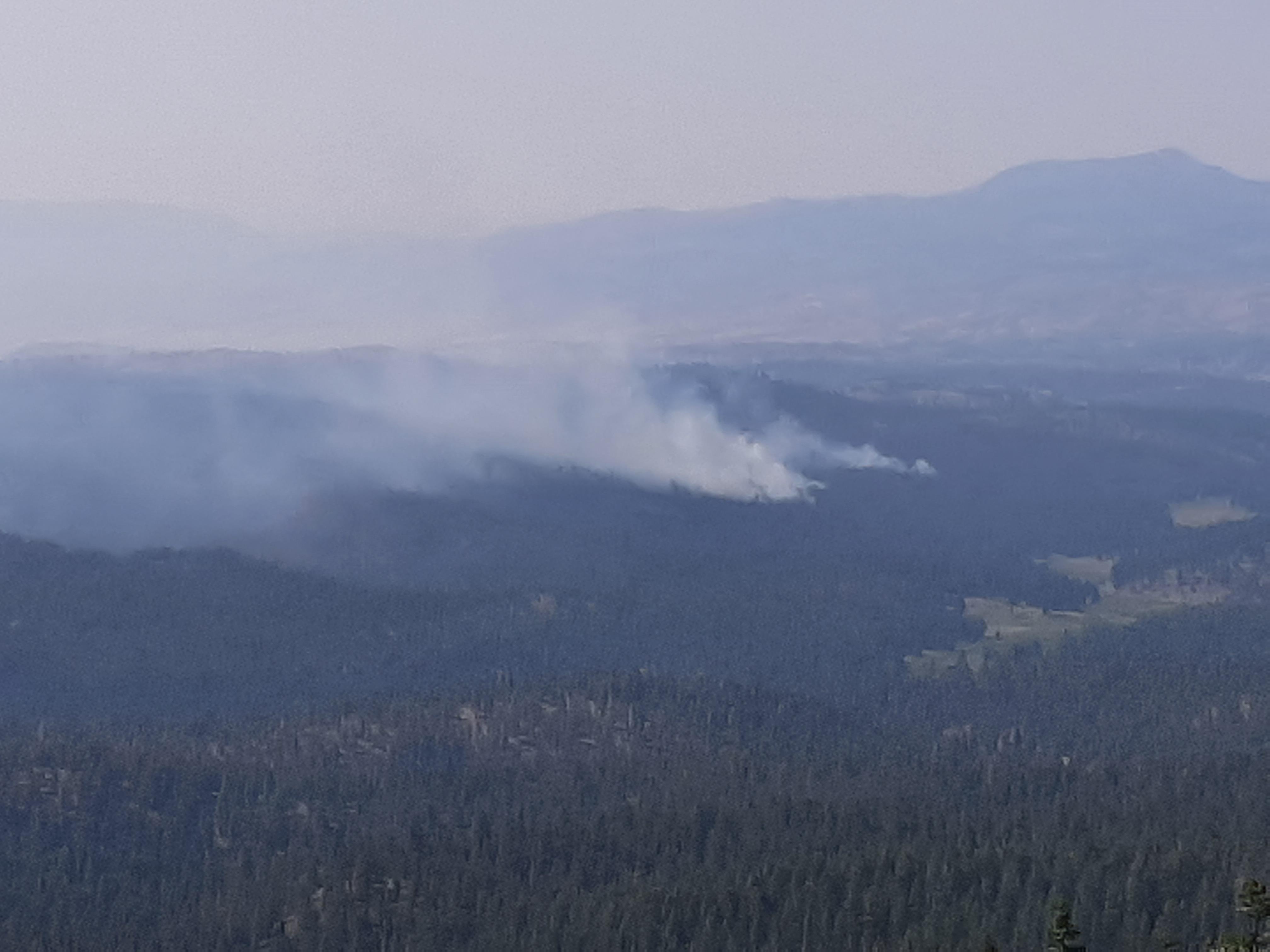 Image of smoke rising above tree tops from Murderers Creek 6 prescribed fire operations unit. 