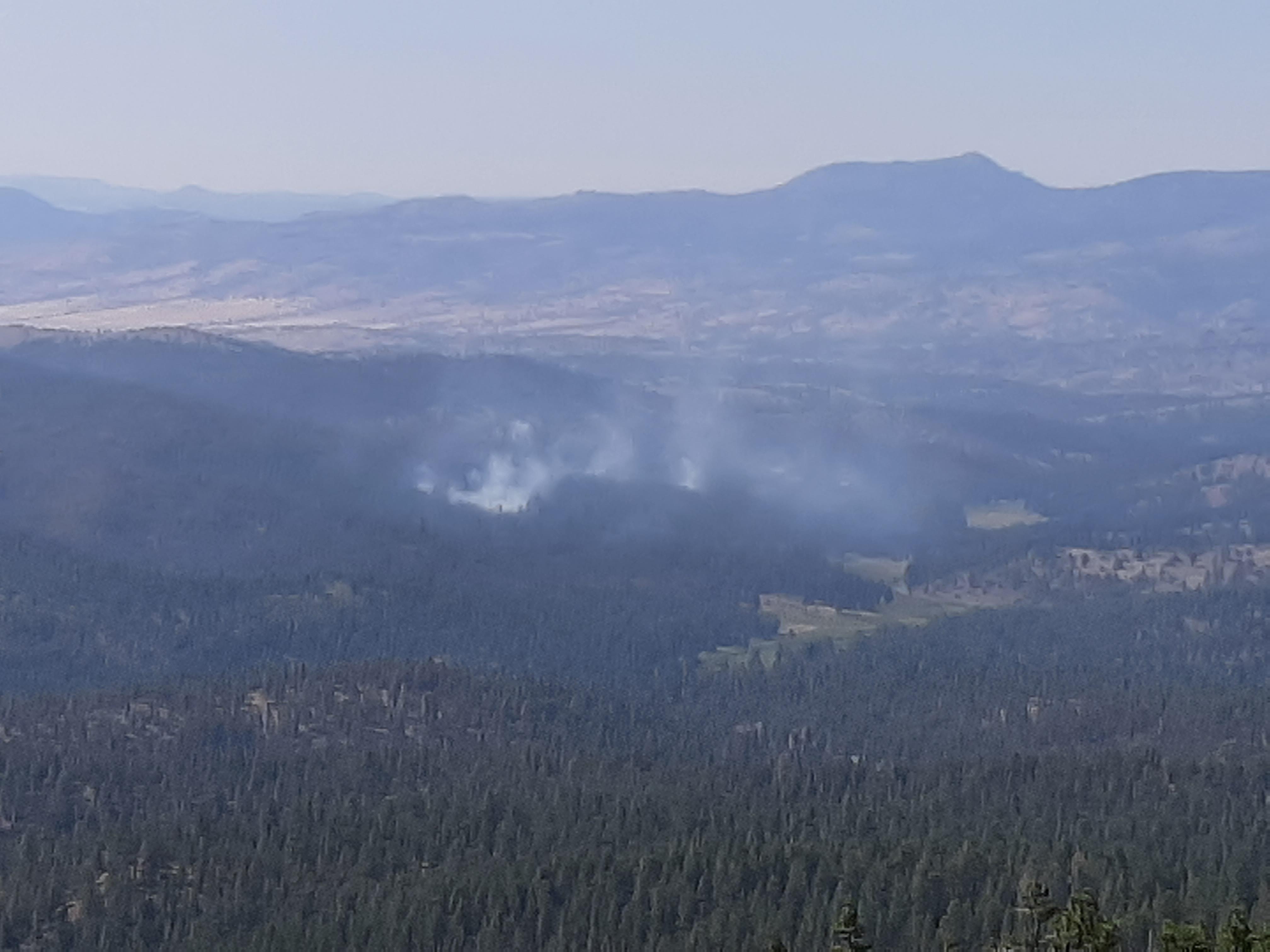 Image of smoke rising above the tree tops from Murderers Creek 6 prescribed fire operations unit. 