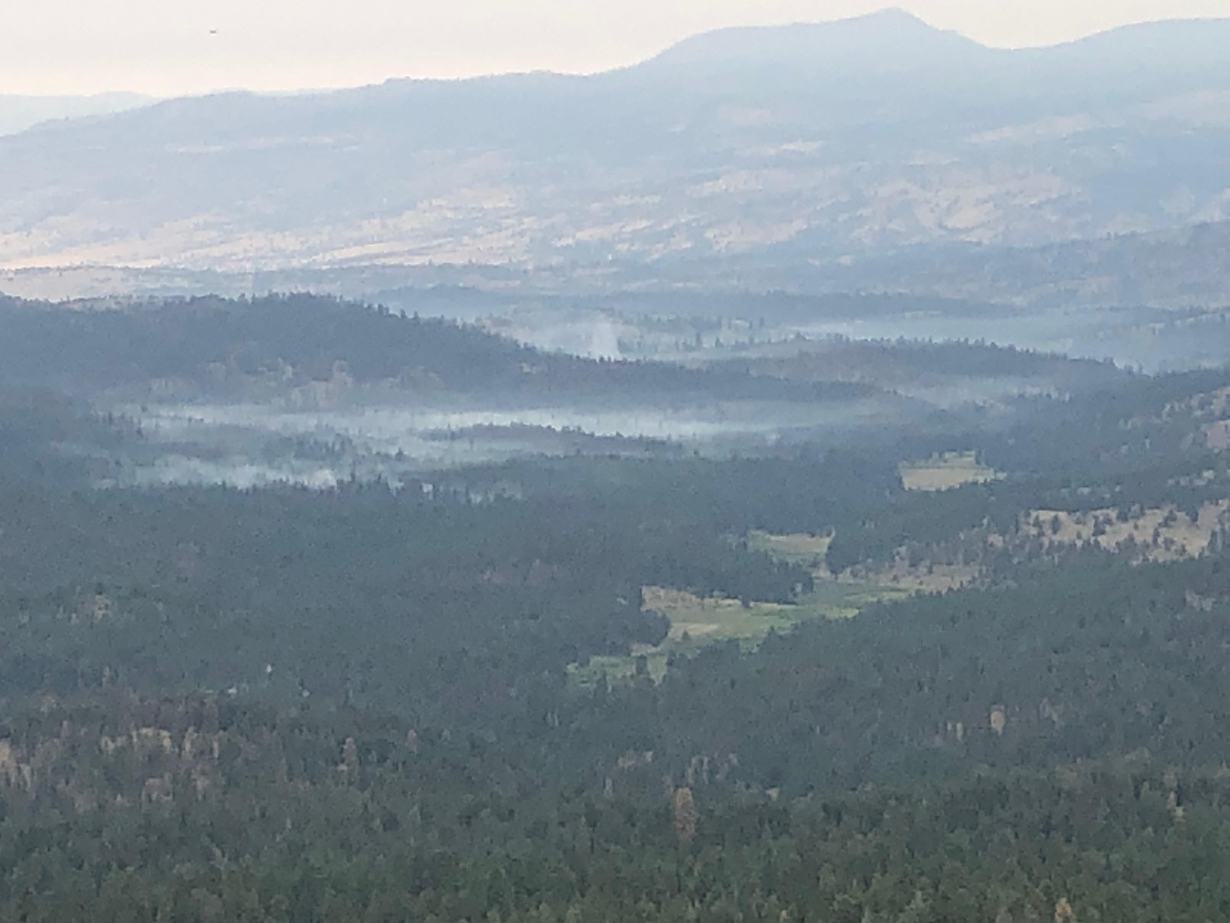 Image of smoke rising above the tree tops from Murderers Creek 6 prescribed fire operations. 