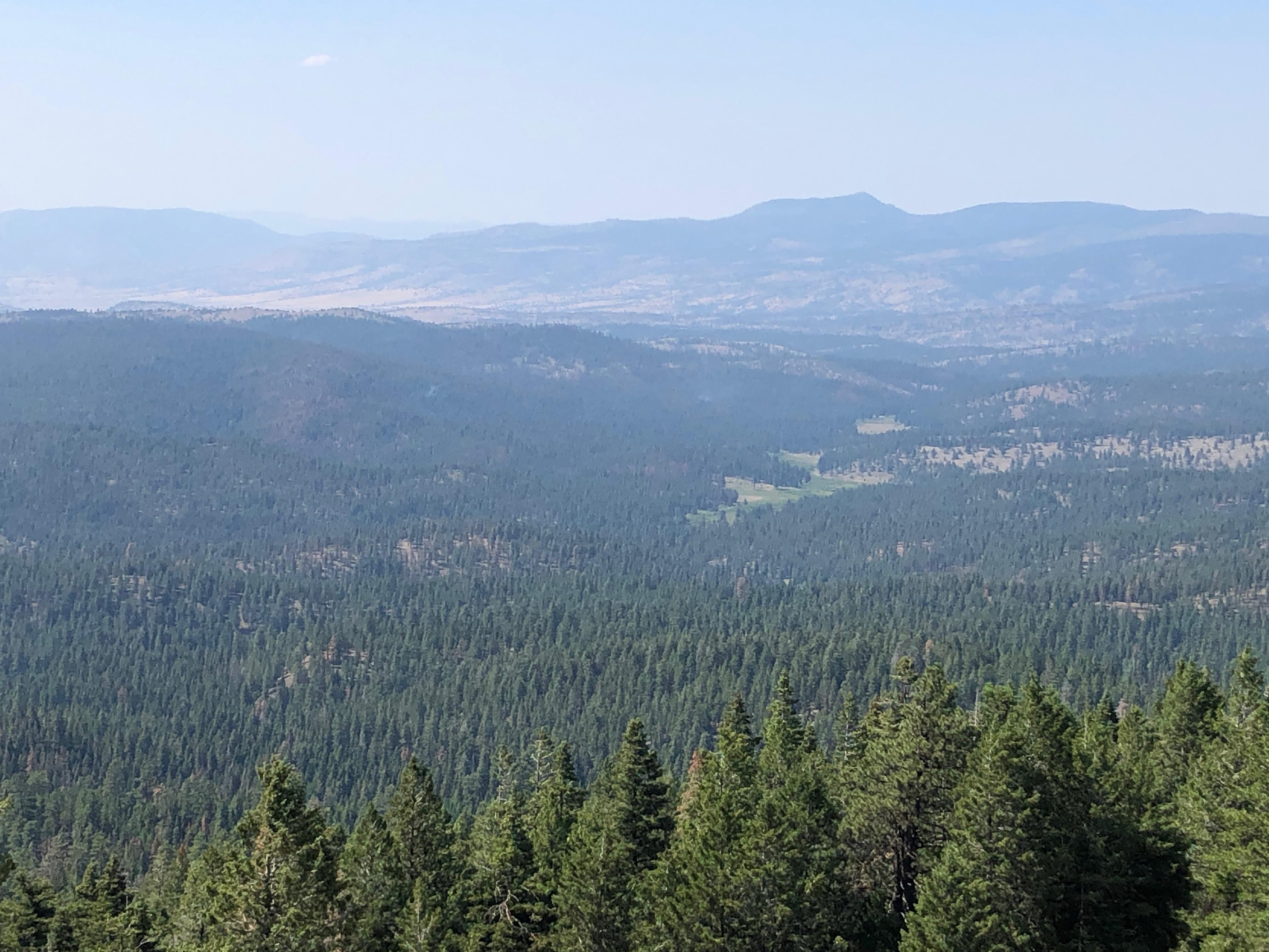 Image taken from Flagtail lookout looking in the direction of Murderers Creek 6 prescribed fire operation.