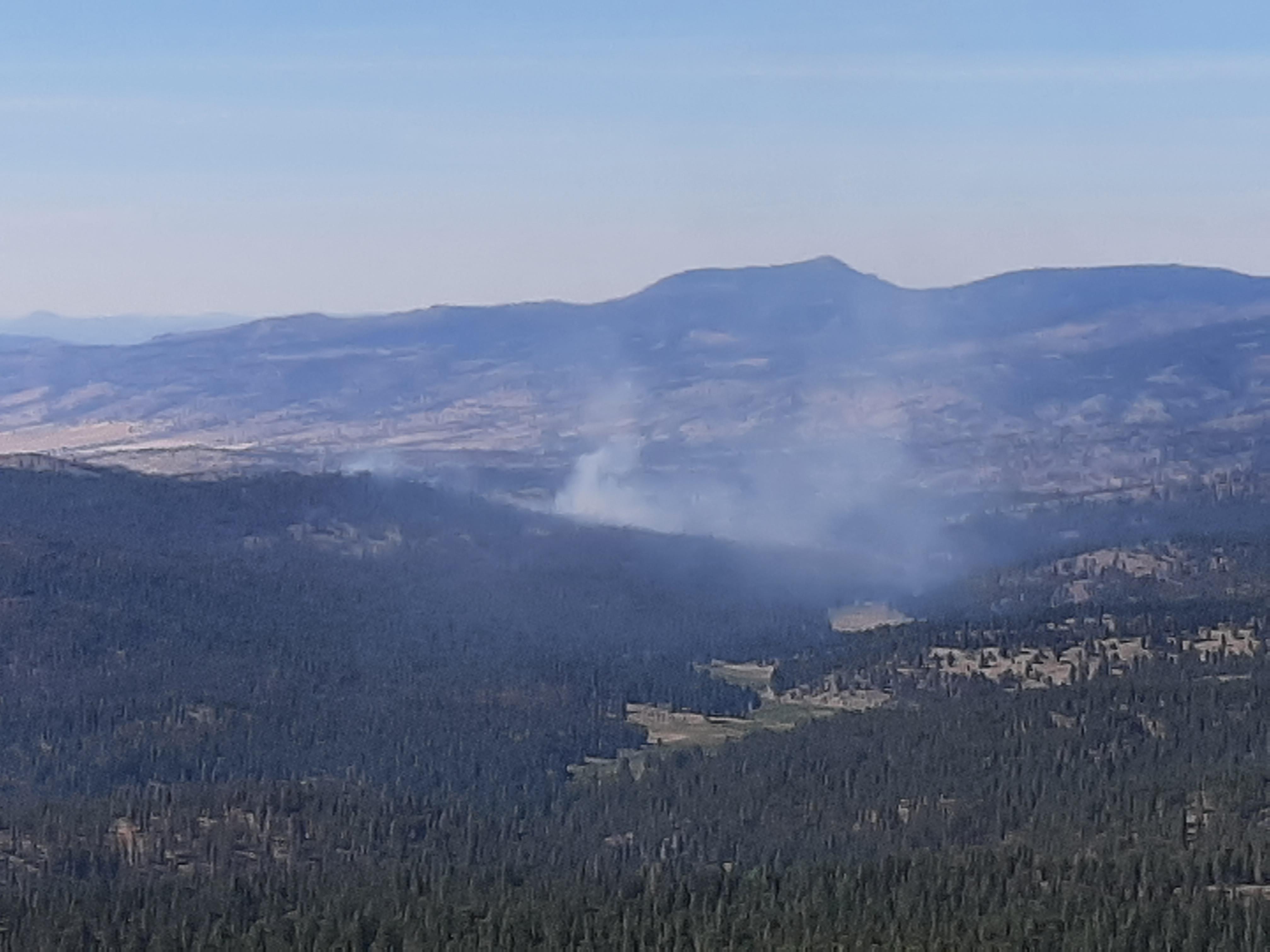 Image of smoke rising from the Murderers Creek 6 prescribed fire area.