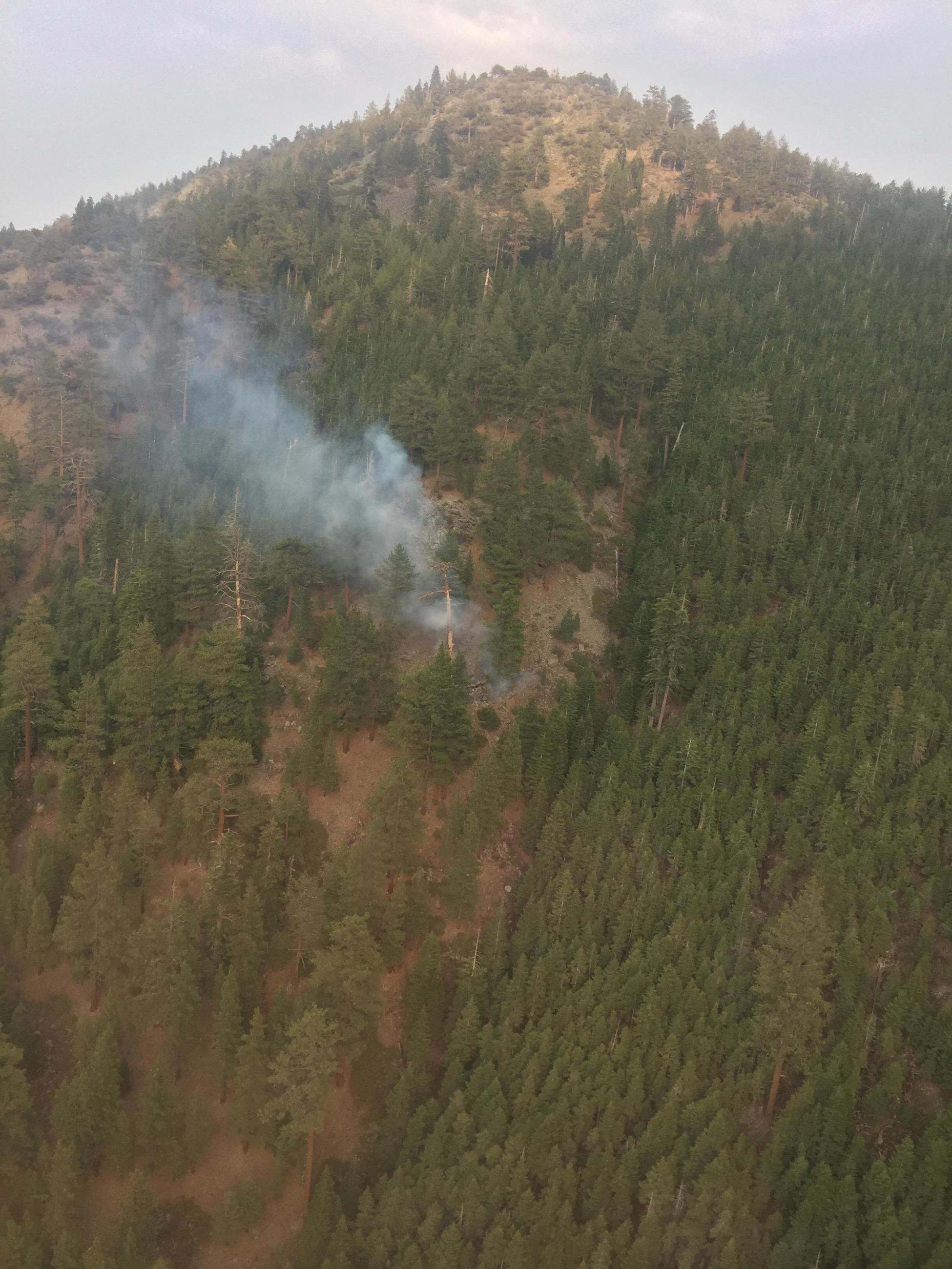 The Fay Fire on the Carson Ranger District This photo shows steep, rocky, mountainous terrain with a Ponderosa Pine component. There's a standing dead tree burning with some surface fire.
