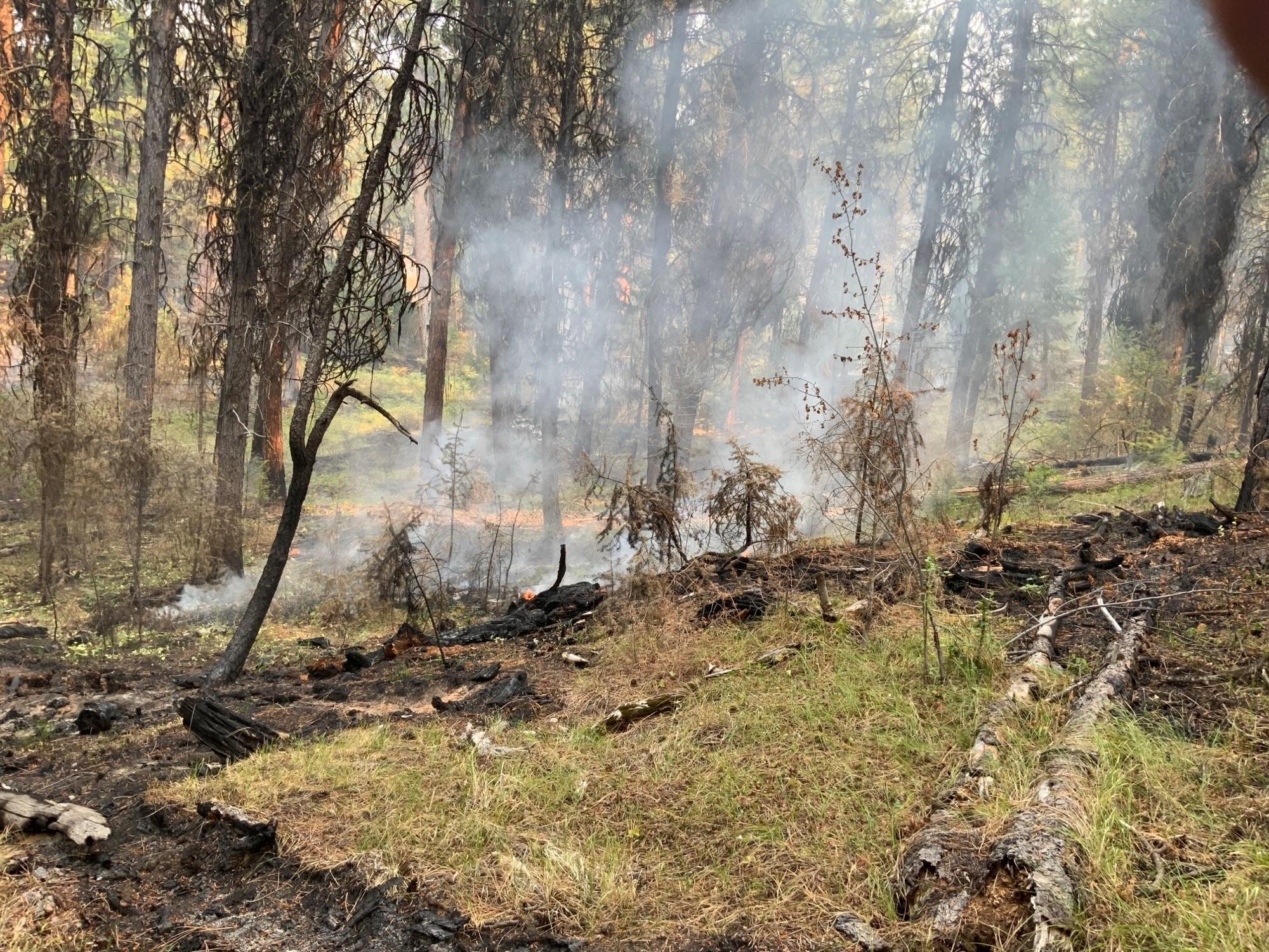Images from Murderers Creek 6 prescribed fire area showing light smoke rising wooded area. 