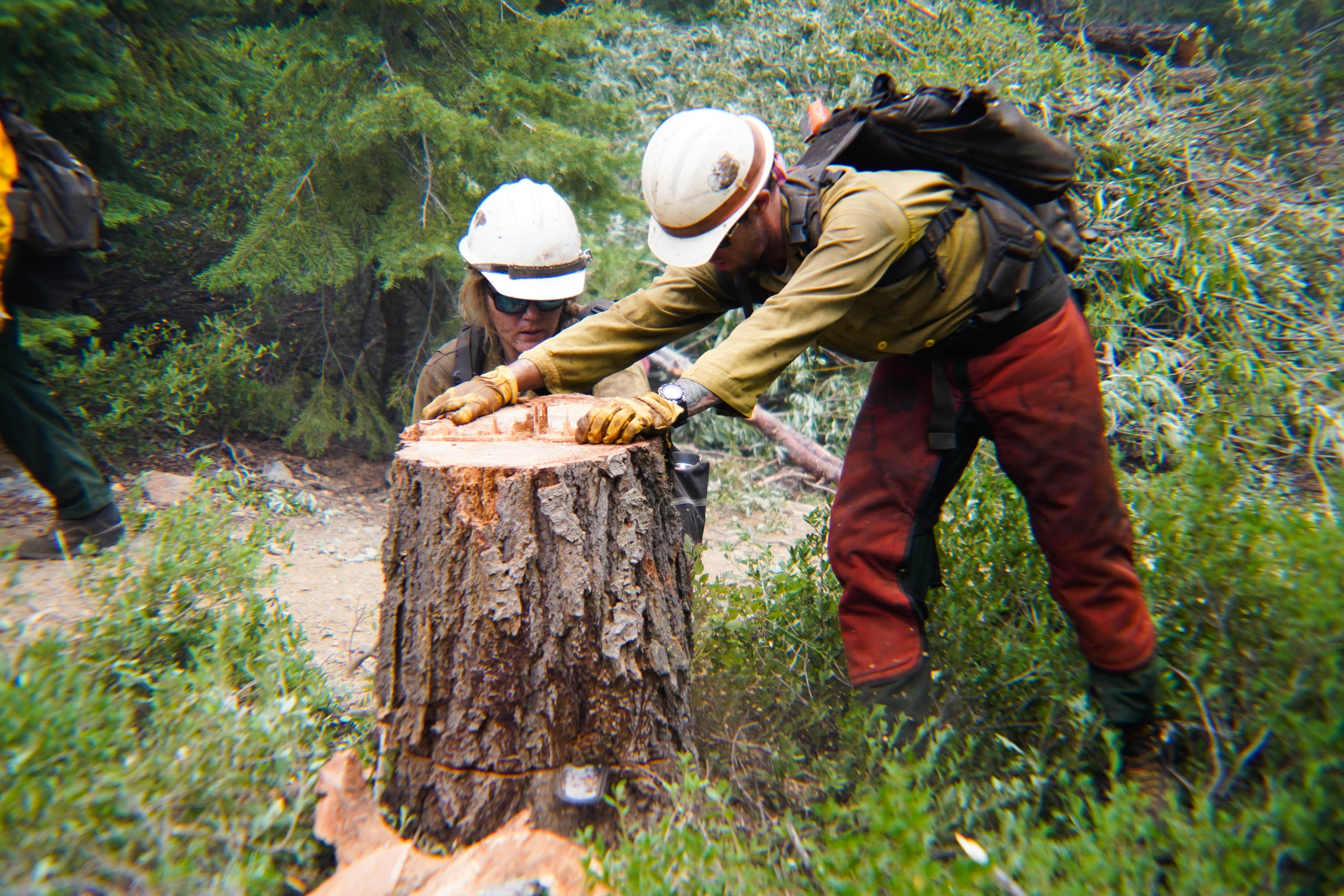 Crews with Firestorm Wildland Fire Suppression, Inc, works providing structure defense for residents of Coffee Creek, Aug 15, 2021, on the River Complex Fire. (U.S. Forest Service photo courtesy of Benjamin Cossel)