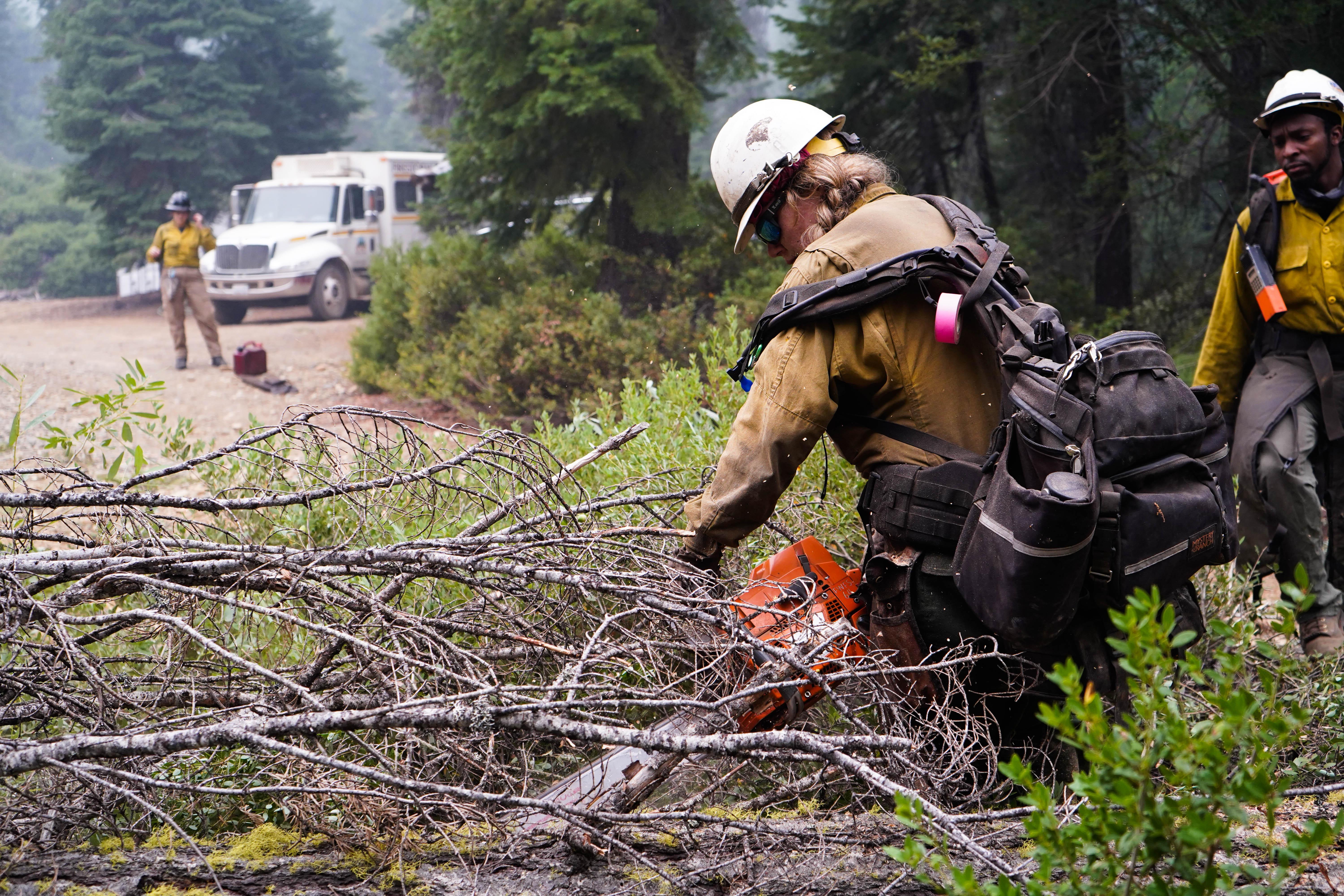 A female firefighter used a chainsaw to clear brush.