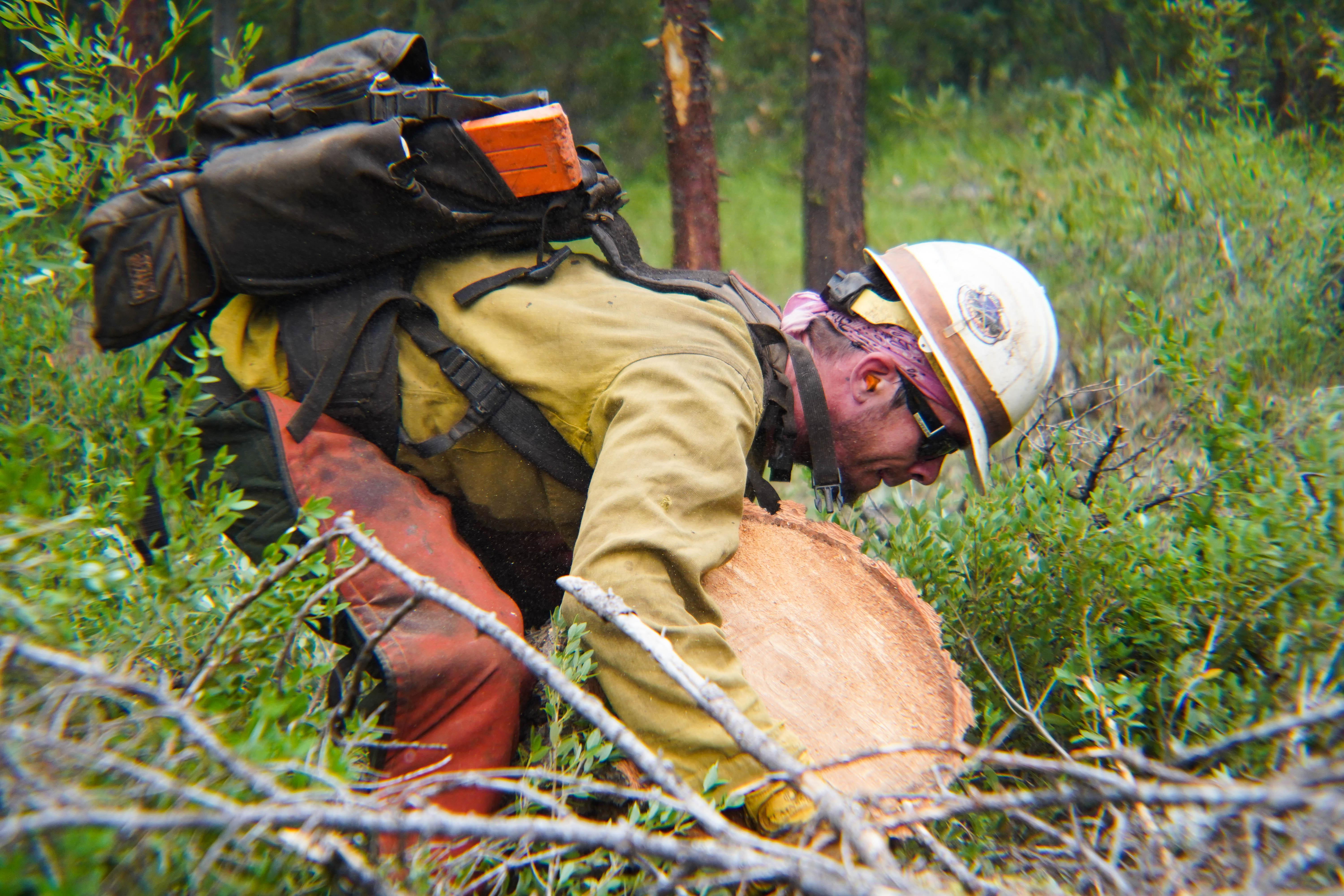 A male wildland firefighter lifts a log as part of structure defense operations in a densely forested area.