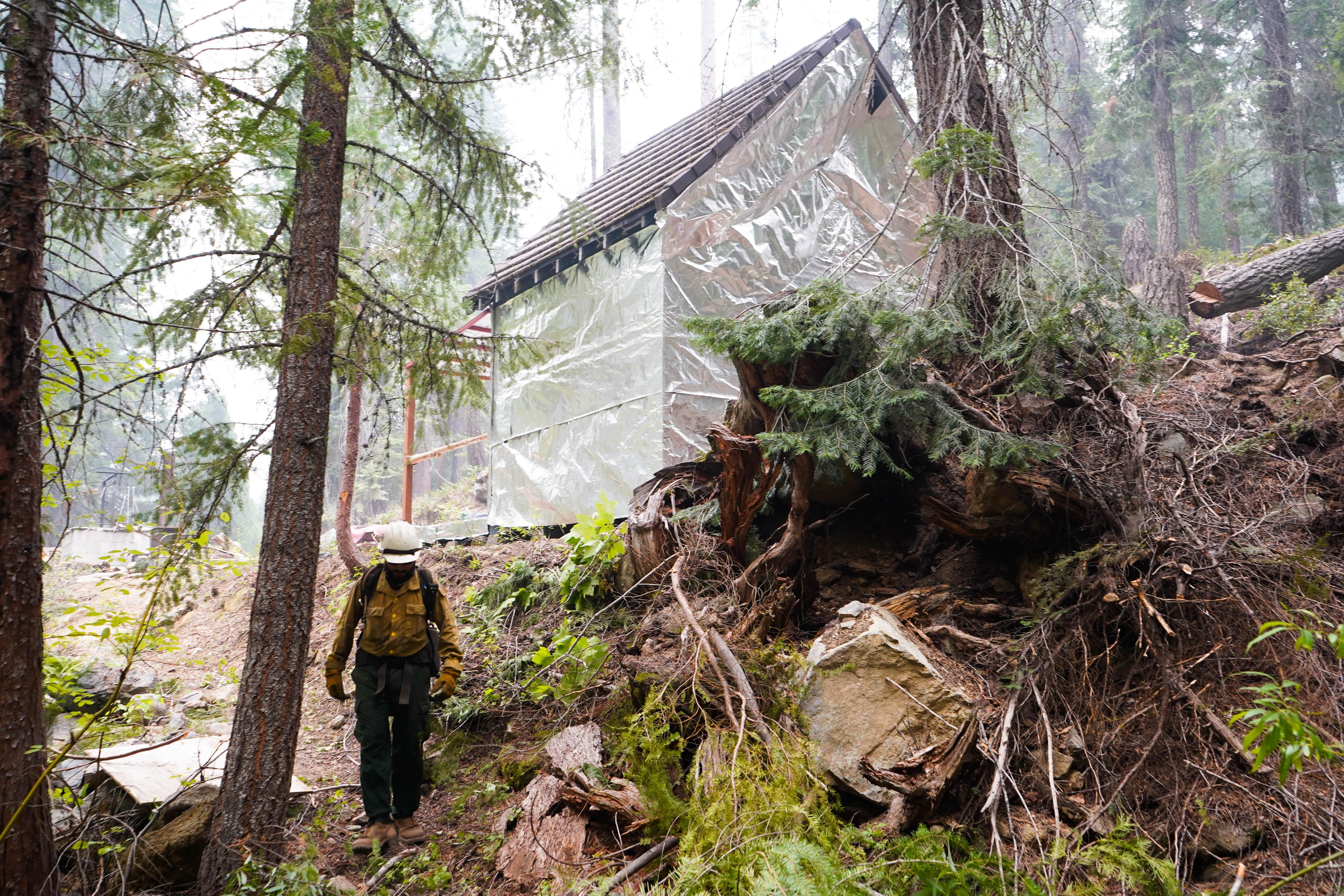 A wildland firefighter walks through a forest passing a home that's been wrapped for fire protection.
