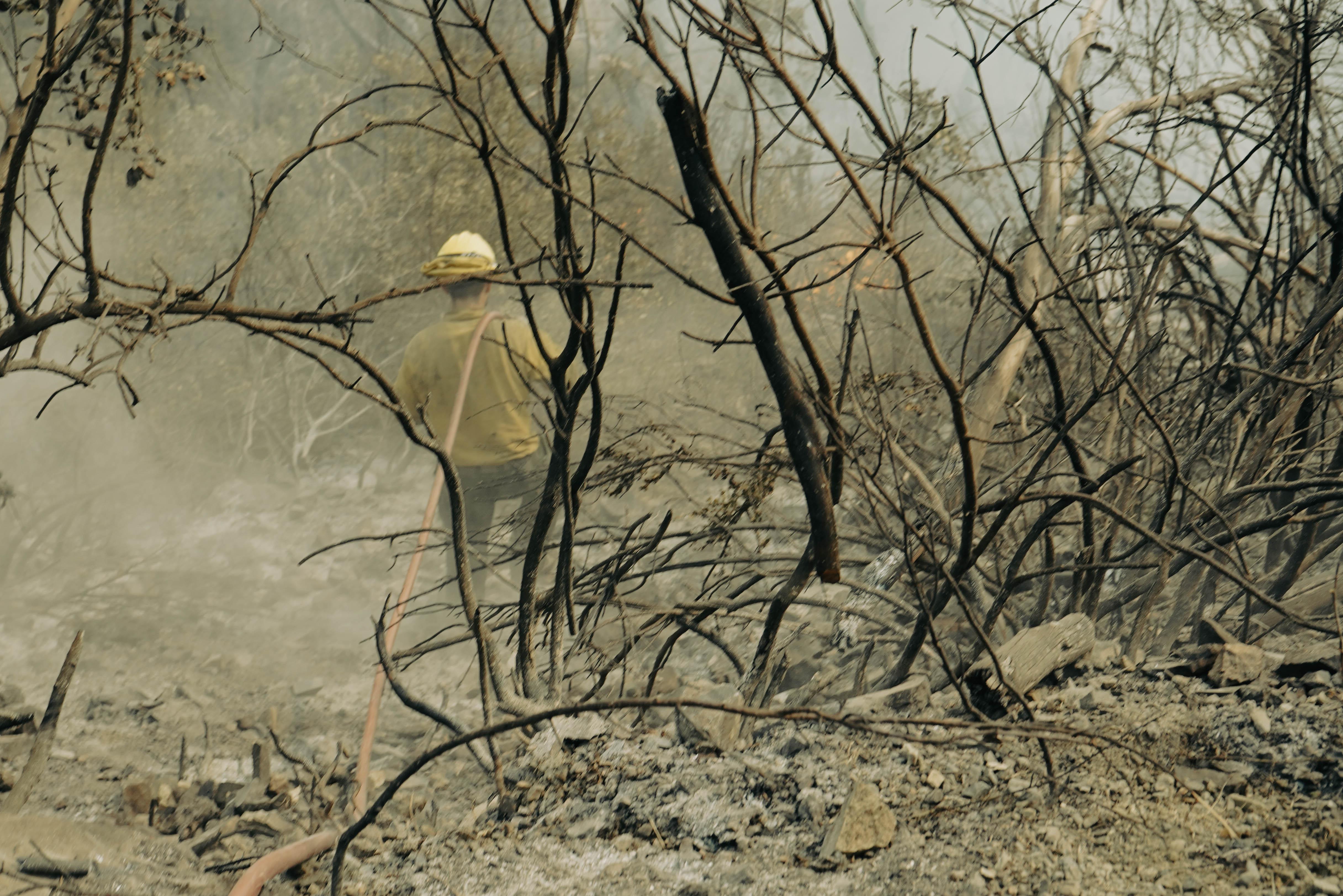With his crew from the Montrose Hell Fighters supporting him from above, firefighter Jessie Williams works putting out spot fires, Aug. 22,  on the Cronan Fire, one of three fires currently burning as part of the River Complex.