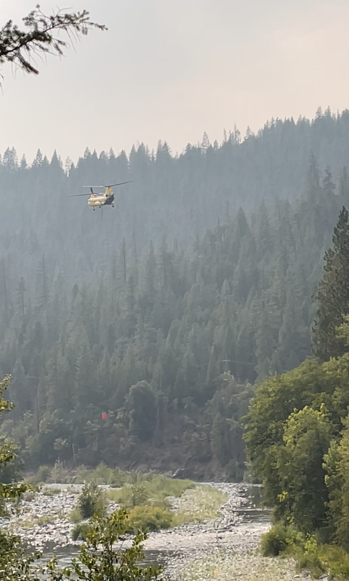 A yellow helicopters flying over a forest and water. Photo by Jessica Santa Cruz.