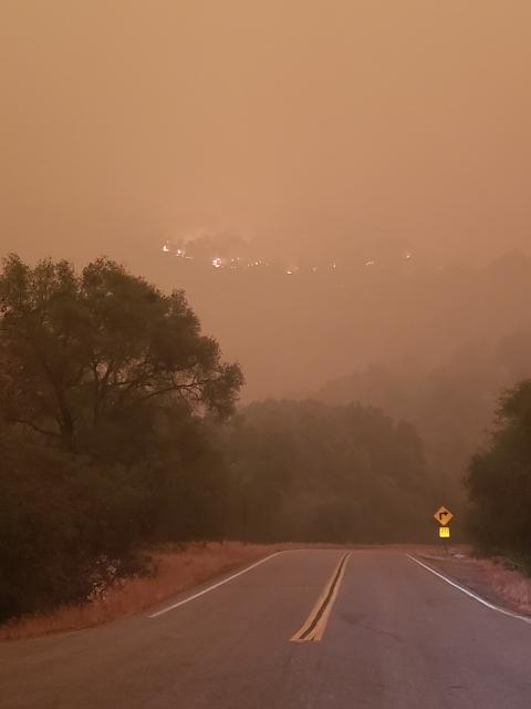 A road leads into a smoky forest, with glowing fire visible on the hill in the background.