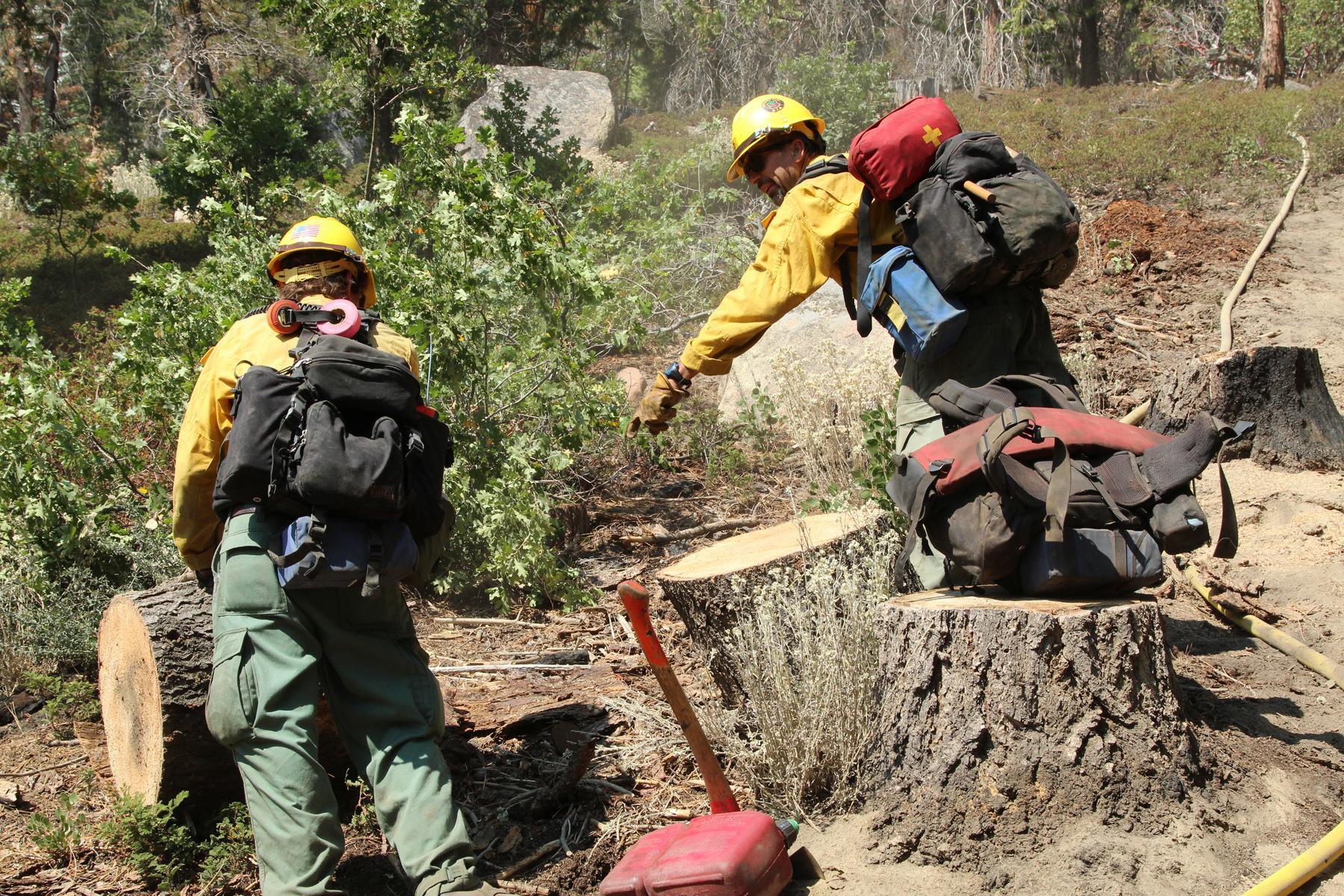 Firefighters Clear Heavy Logs From Fireline on SE Flank. Photo: Mike McMillan - BIA