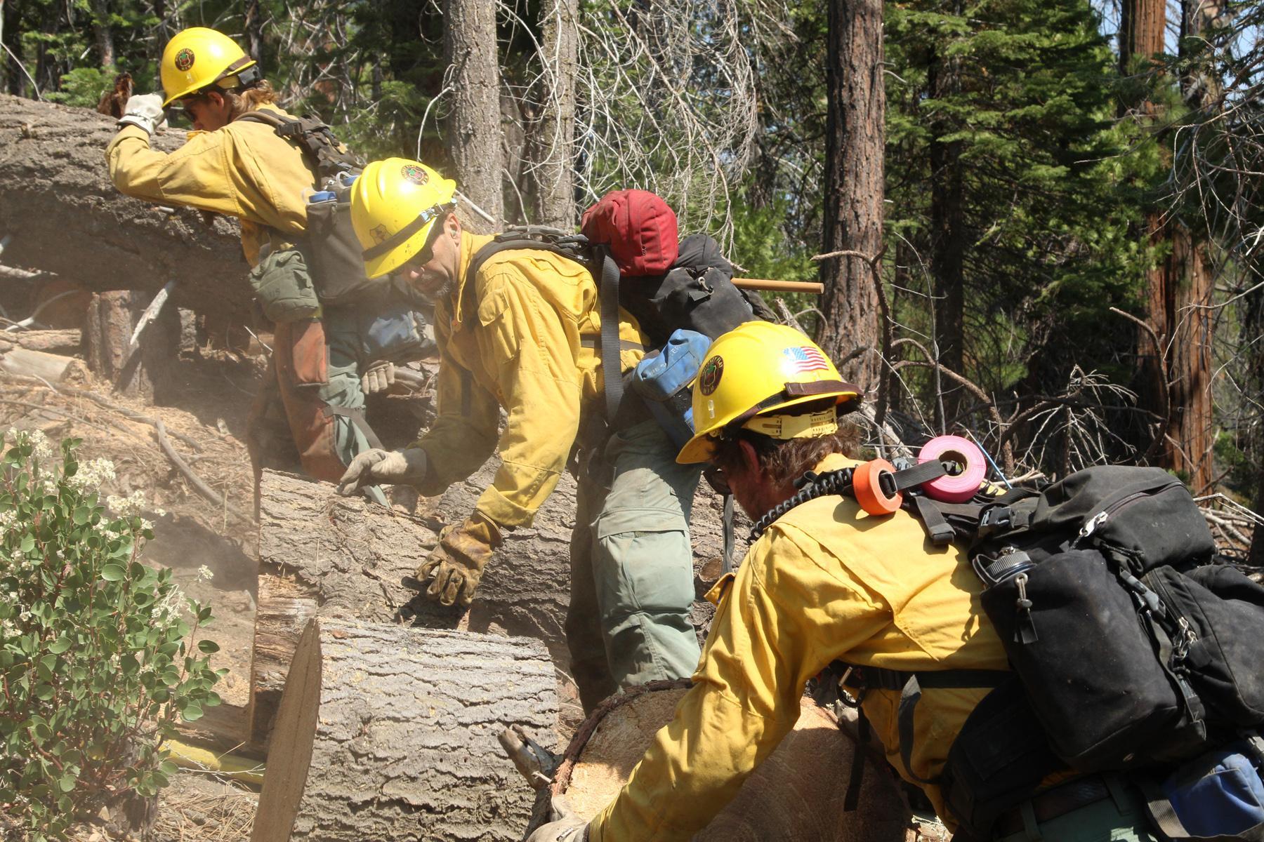 Firefighters Move Heavy Logs on the SE Flank. Photo: Mike McMillan - BIA