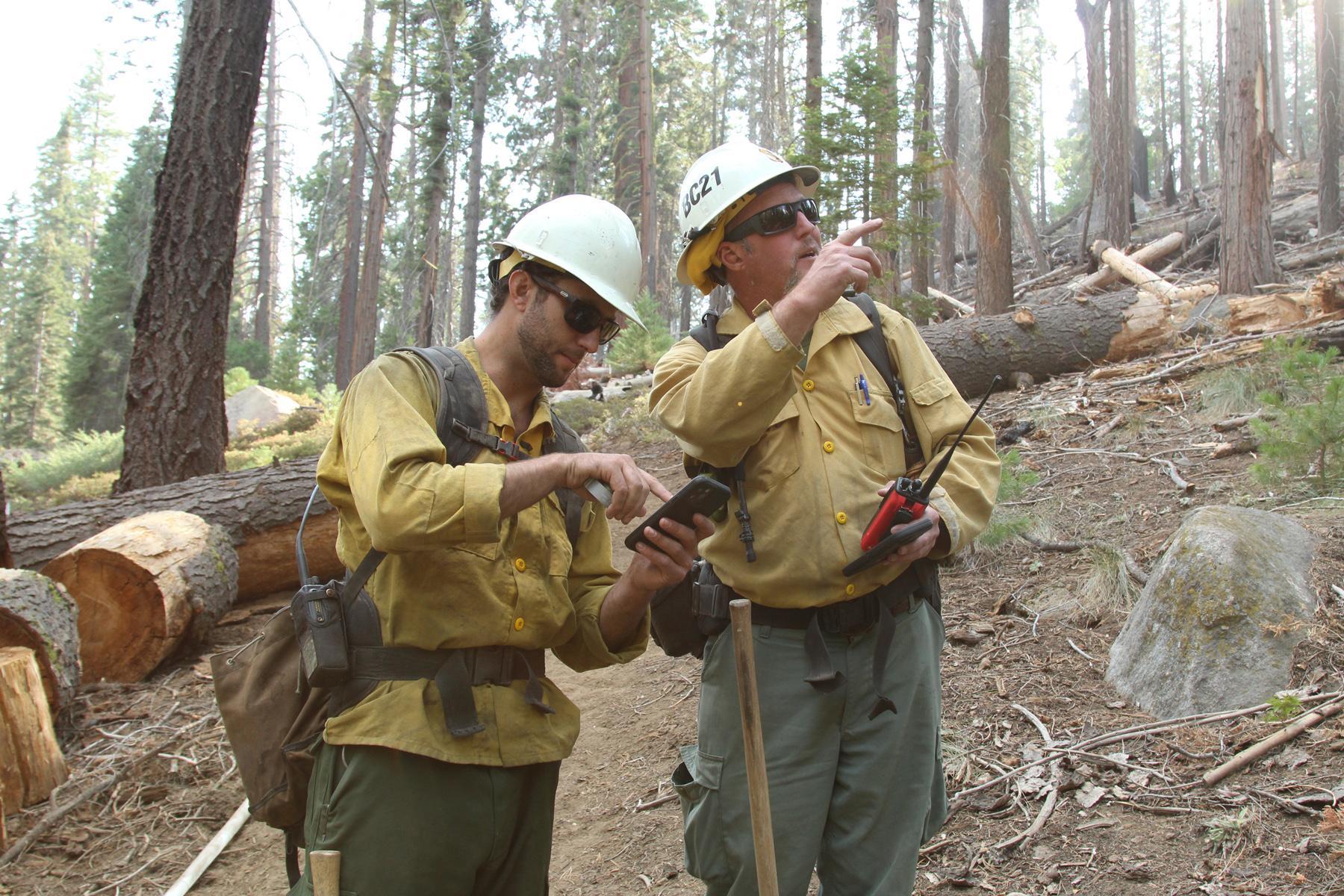 Firefighters Talk Tactics Along 100 Giants Trail. Photo: Mike McMillan - BIA