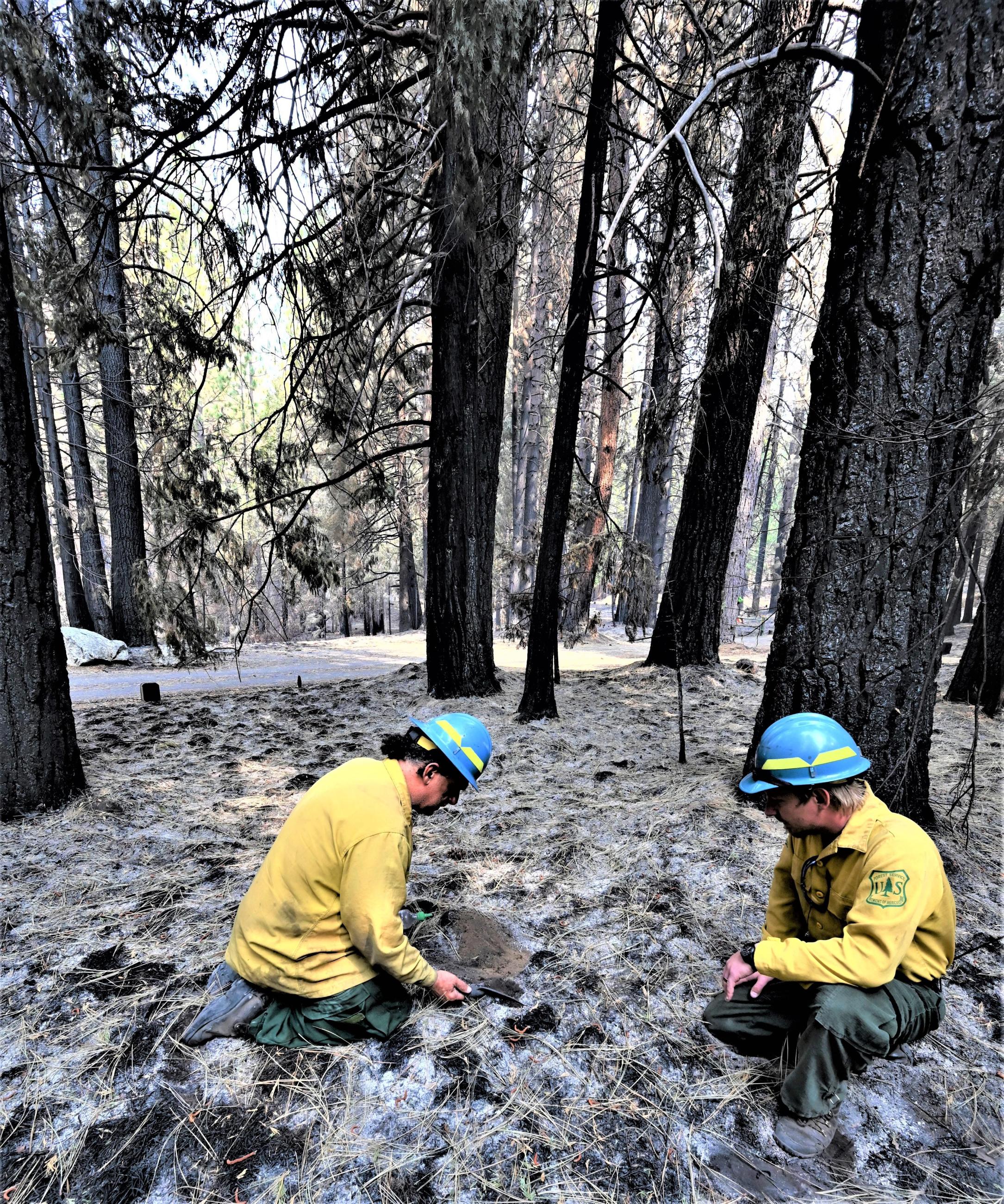 BAER Specialists evaluate water repellency Photo showing BAER Specialists evaluate water repellency of burned soil in Caldor Fire