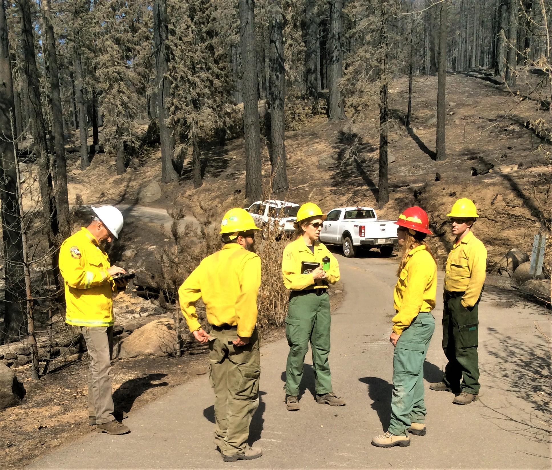 BAER Team & Partners assess Caldor burned area Photo showing BAER Team & Partners Assess Post-Fire Hillslope & Stream Channel Conditions in Caldor Burned Area