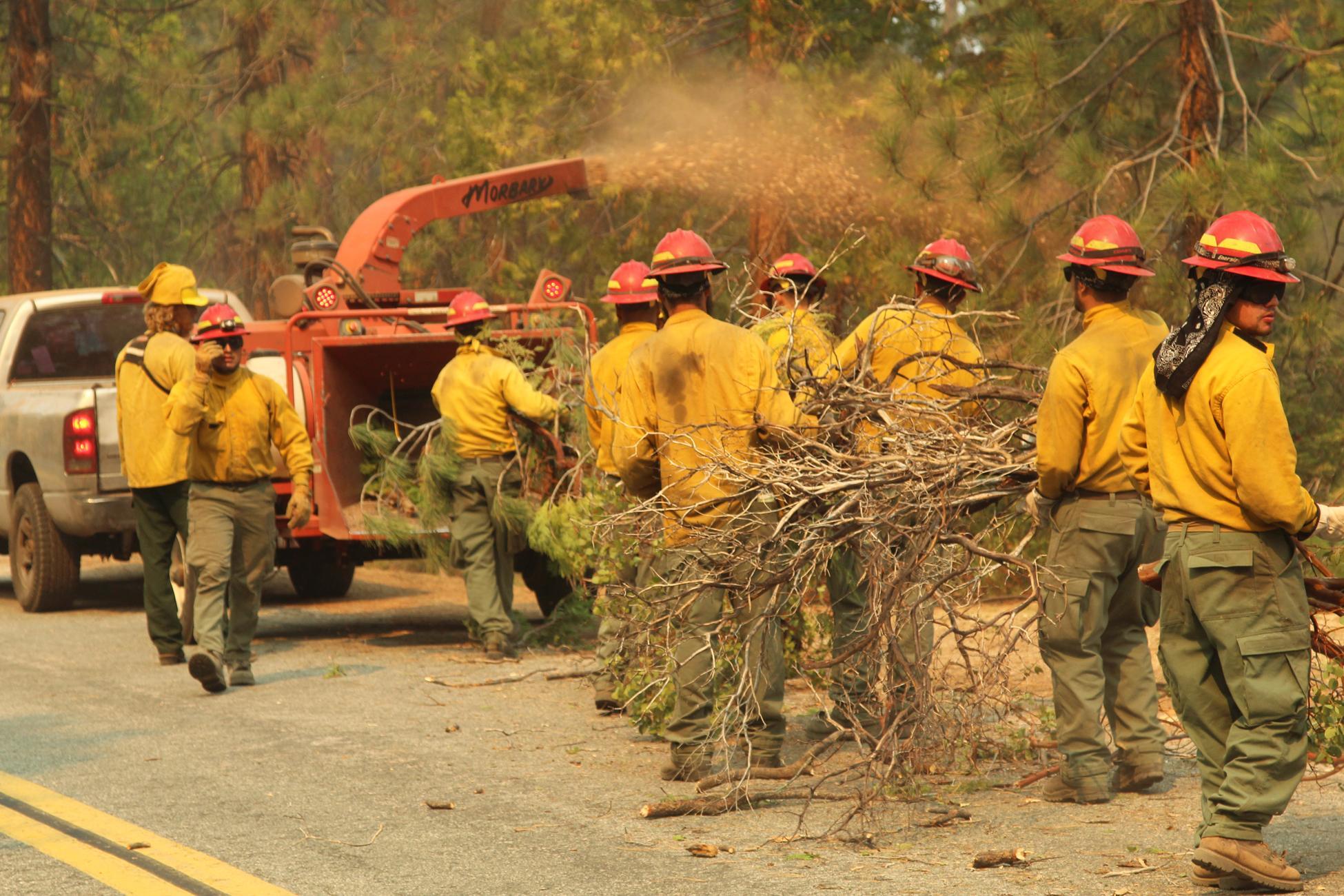 Pacific Coast Hand Crew Chips Cut Brush and Branches Along Highway 107 Near Peppermint. Photo: Mike McMillan - BIA