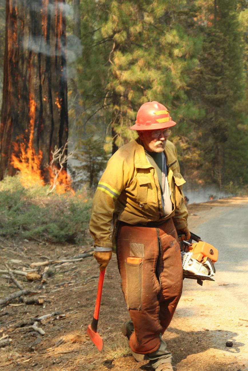 Professional Faller & Burning Tree Along Hwy 107. Photo: Mike McMIllan - BIA