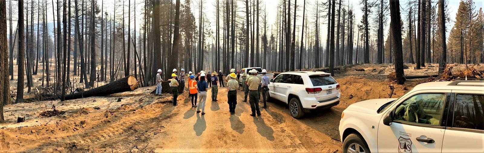 Caldor BAER Cooperators Burn Area Field Trip Photo showing Caldor BAER Cooperators during Burn Area Field Trip