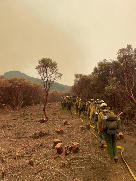 A crew hikes in a line through a cleared fireline with smoke in the air