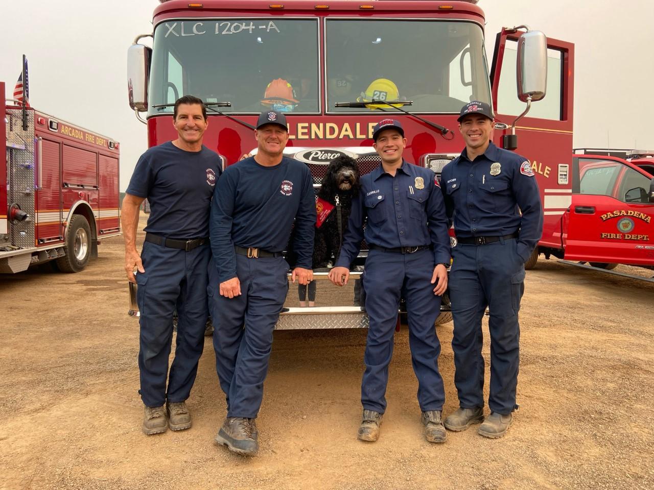 A fire crew poses with a therapy dog.