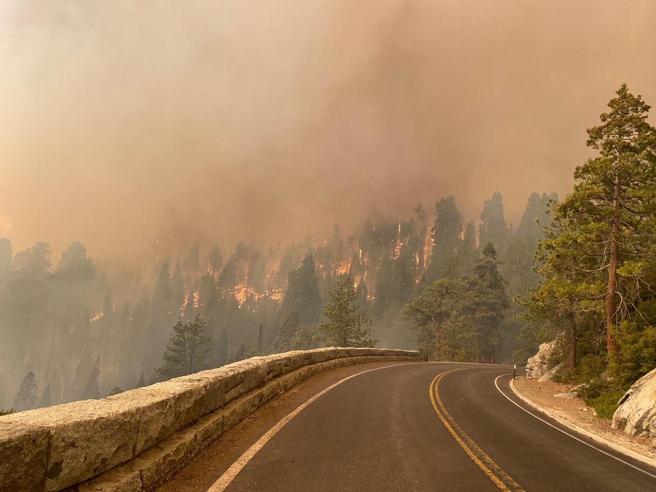 A paved roads leads towards open flames on a smoky day