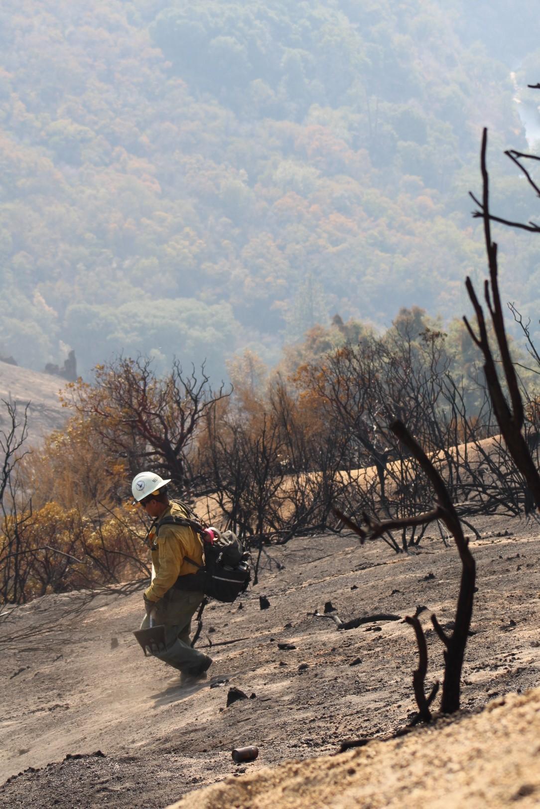 A firefighter walks down a steep ash-covered hill holding a tool, surrounded by burned plants