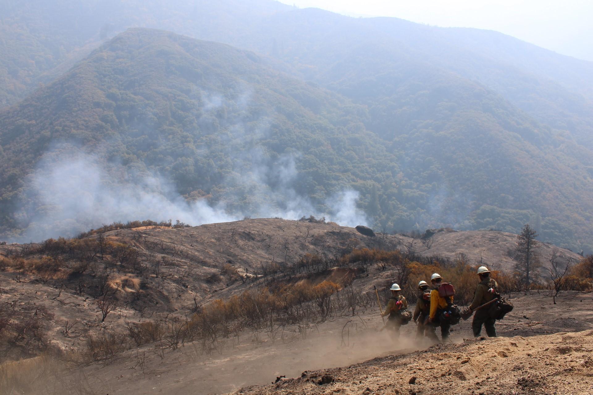 Four firefighters walking down an ashy hill towards smoke rising out of a valley