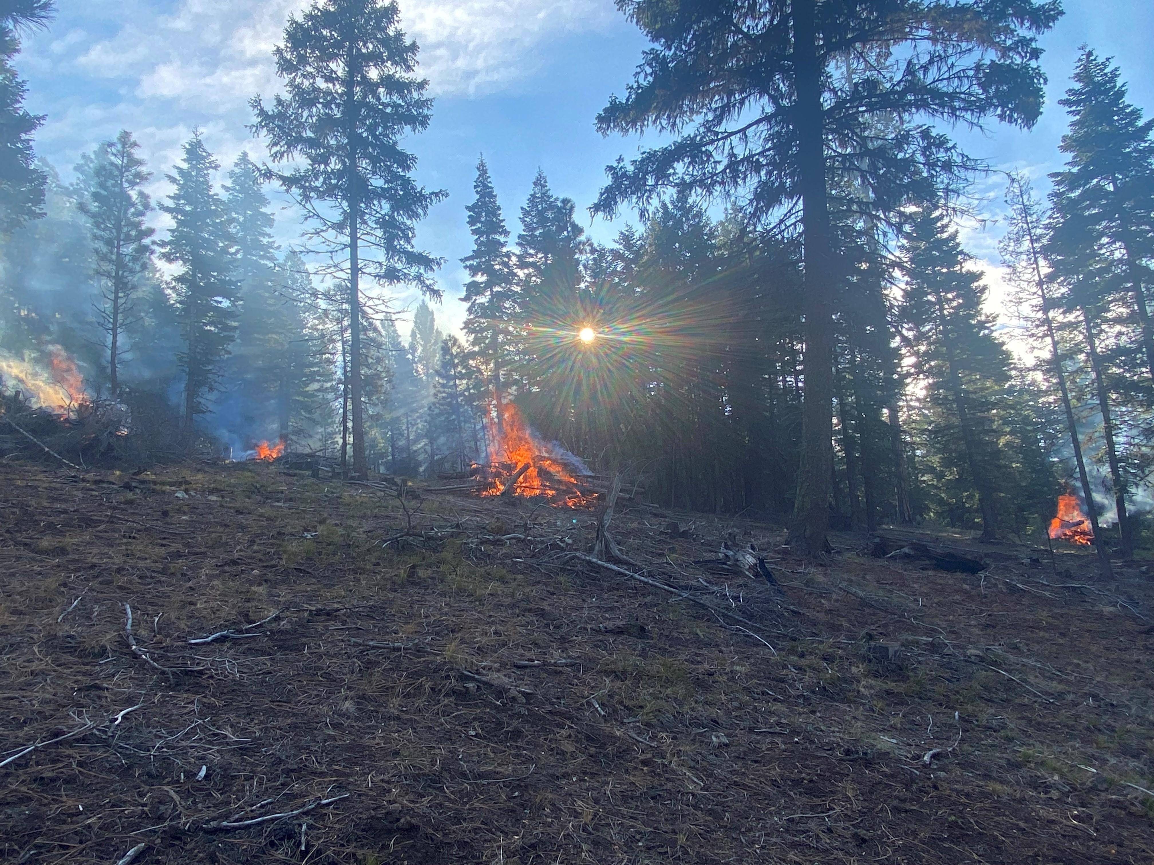 Image of piles of brush burning in front of a morning sunrise. 