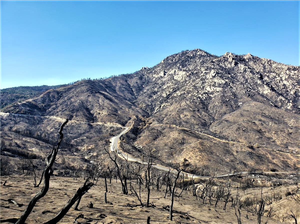 Photo showing French Burned Area