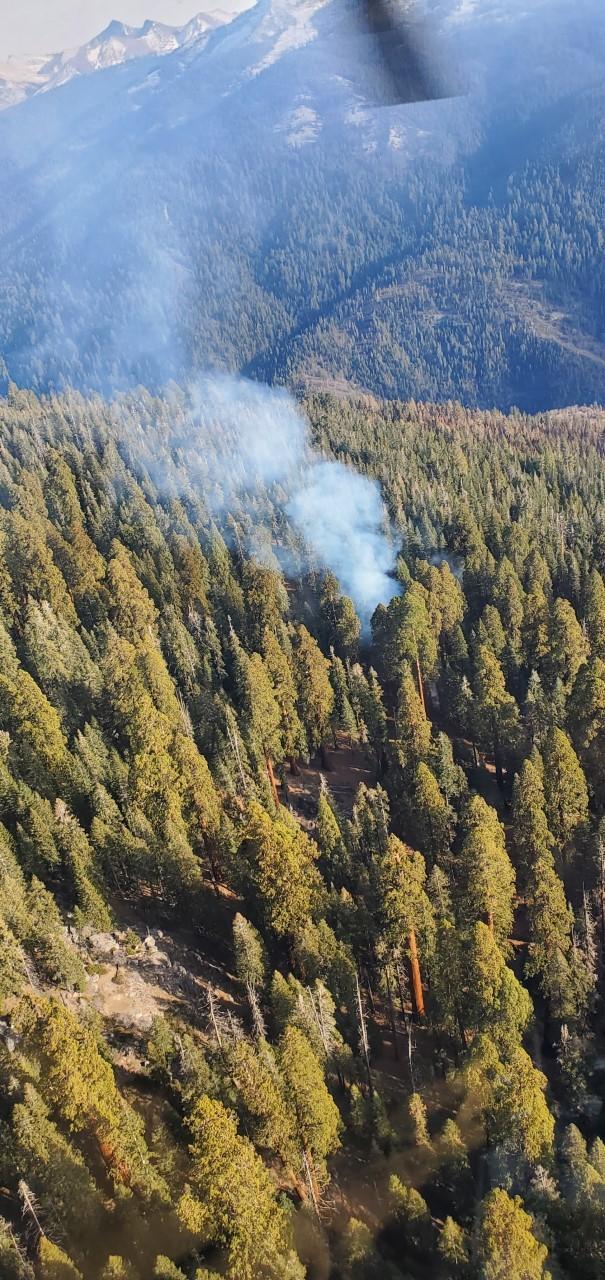 White smoke billows from a forested area on ridge across a valley.