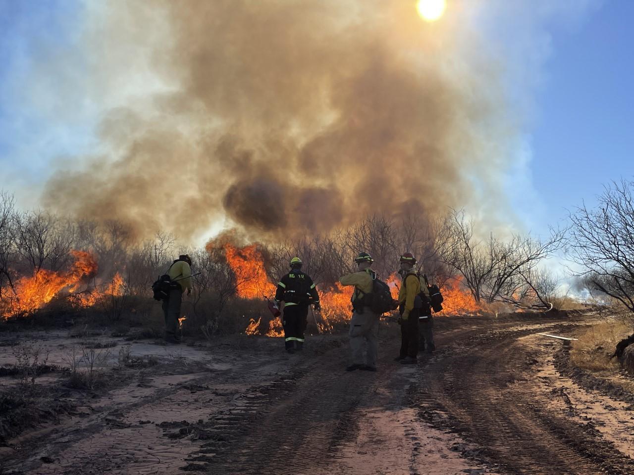 Five wildland firefighters in front of recently ignited vegetation, standing on a bulldozer control line.