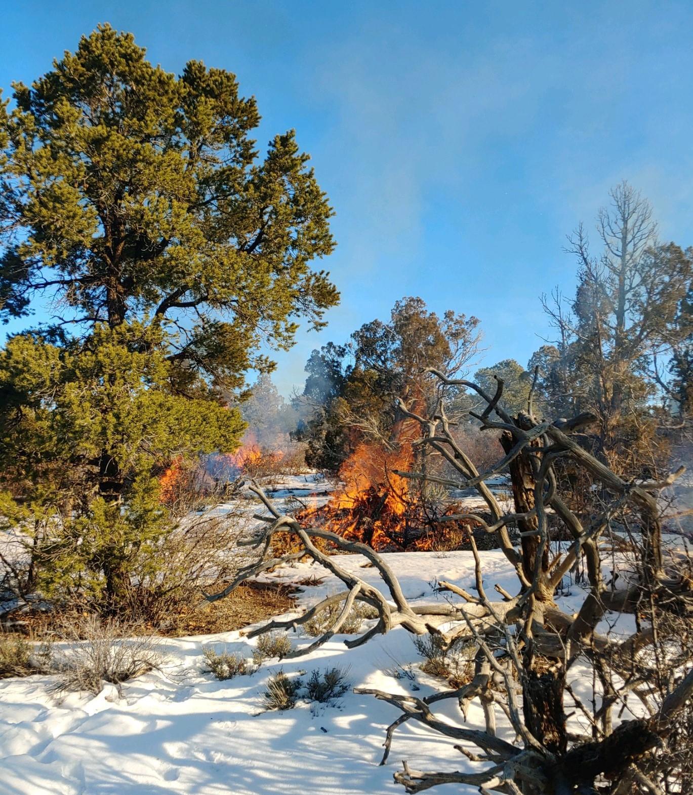 Great day to RX burn piles on West Dolores Rim. Photo has a few piles burning during a prescribe burn.