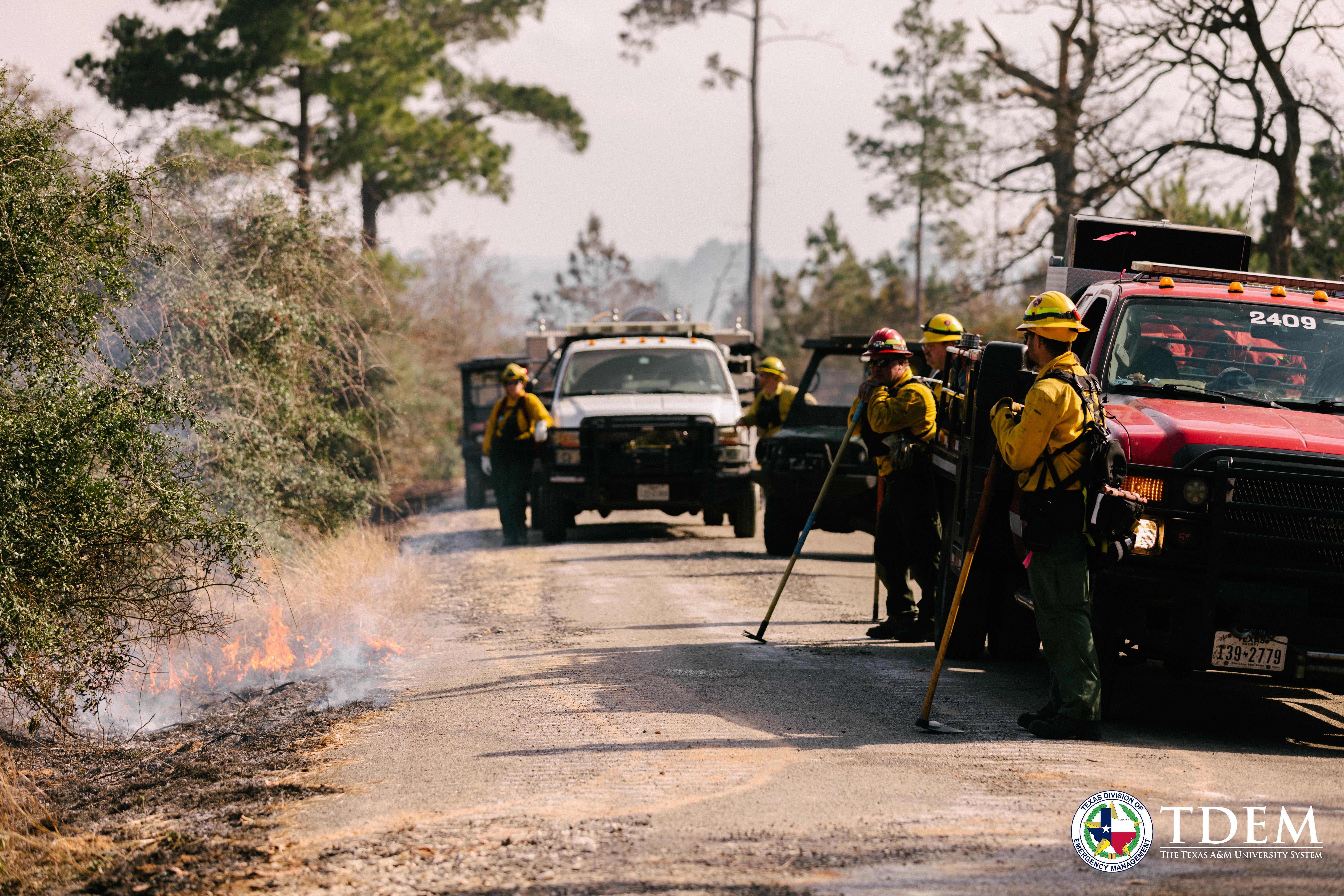 Picture shows members of a fireline crew watching a ground fire creep away from a roadway. They are standing in front of wildland fire engines.