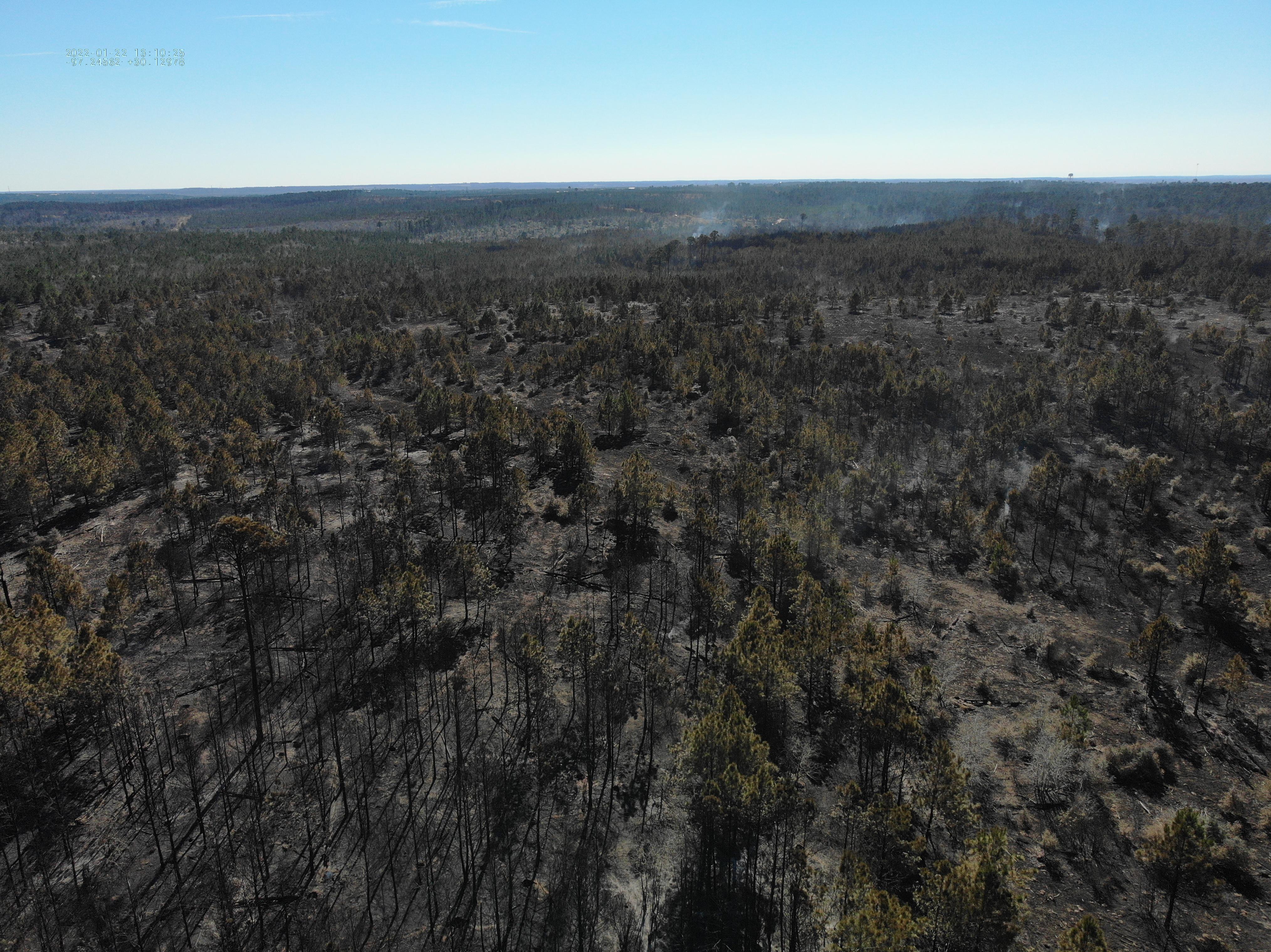 A drone shot of the burned area from the Rolling Pines Fire that shows some burned out fires and allowed others to survive and create a patchwork of different intensities