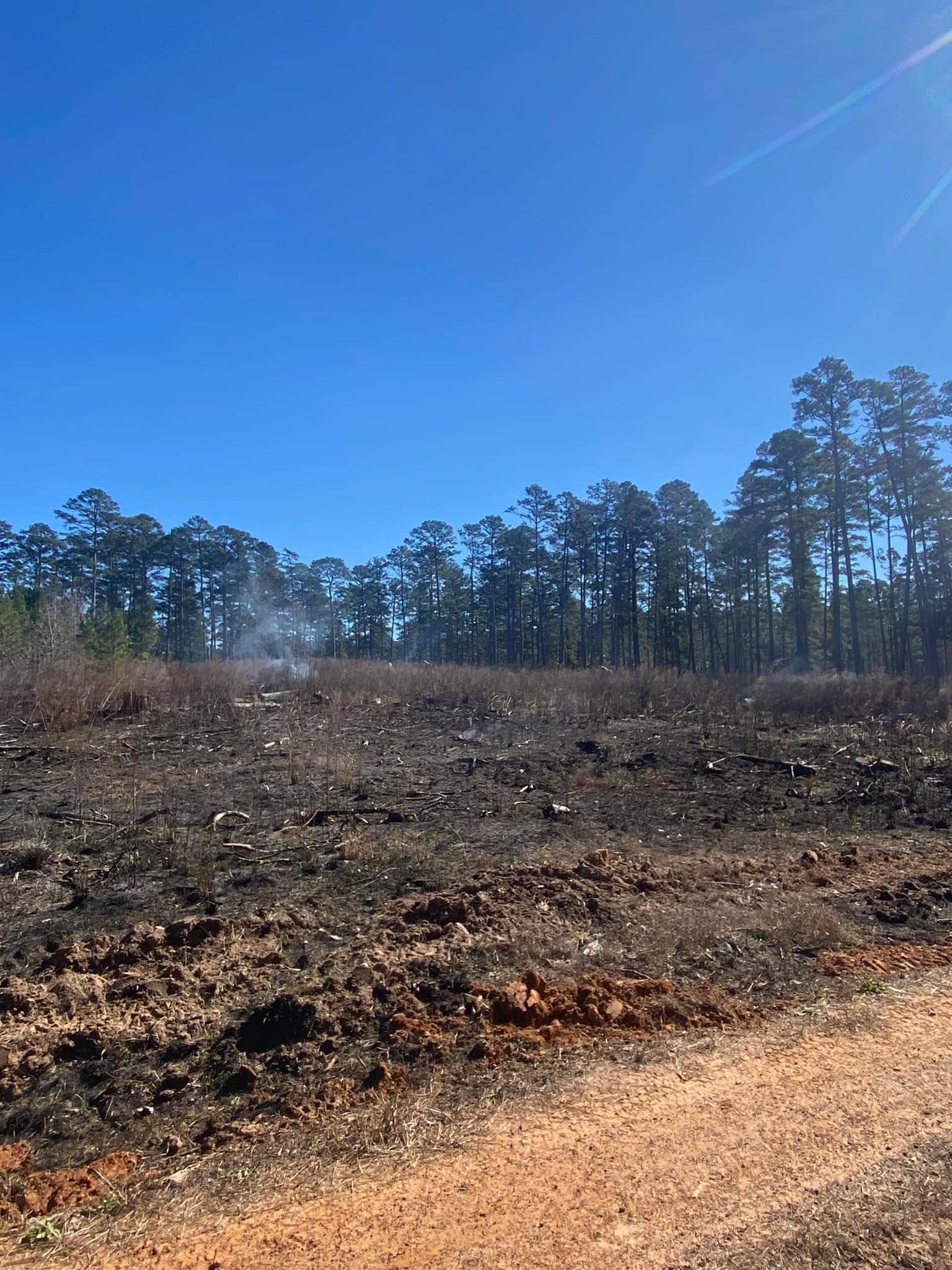 Fairchild State Forest After Burn 1/28/2022