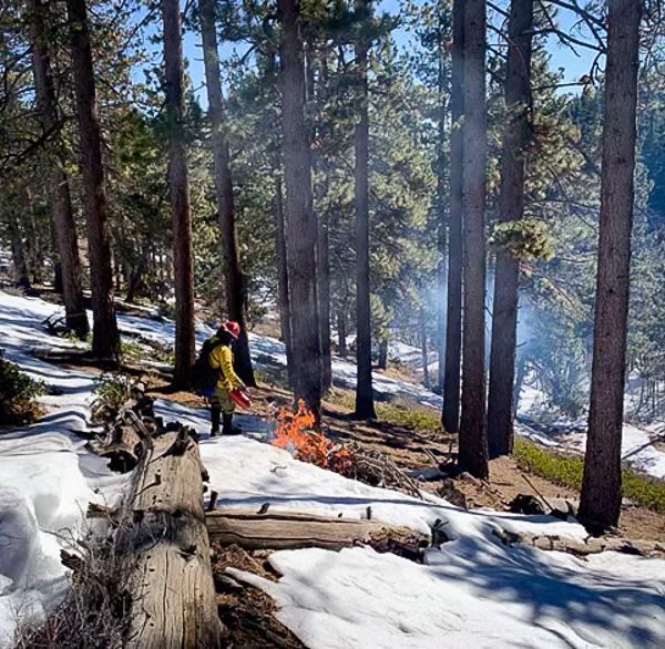 Image showing a firefighter lighting a brush pile near Clear Creek on February 1, 2022