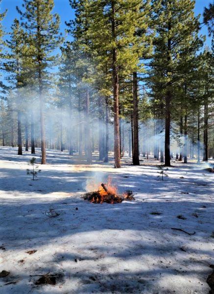 Image of a small brush pile burning in the snow in Dog Valley on February 14, 2022