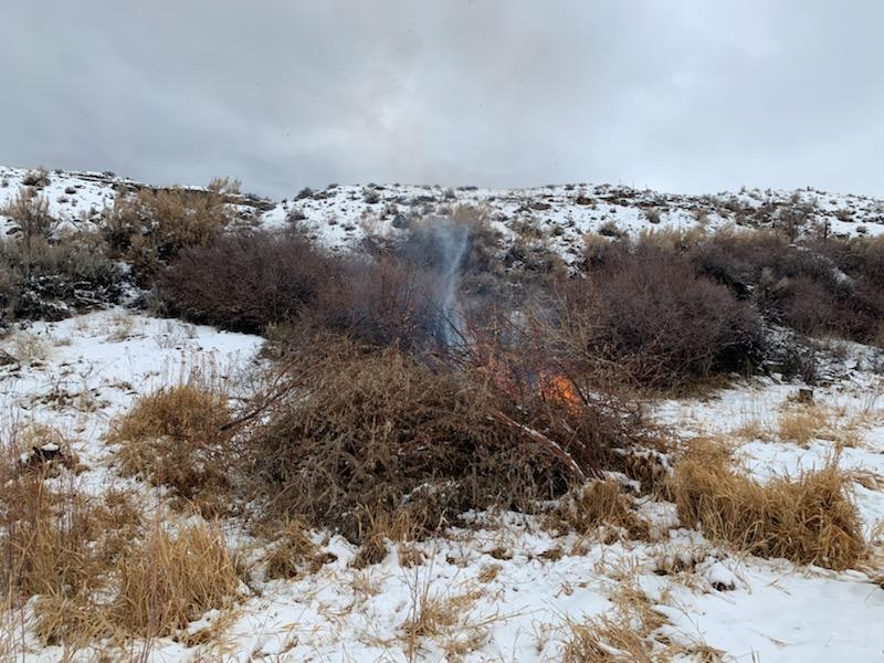 Tamarisk RX pile burning in Gunnison Gorge NCA