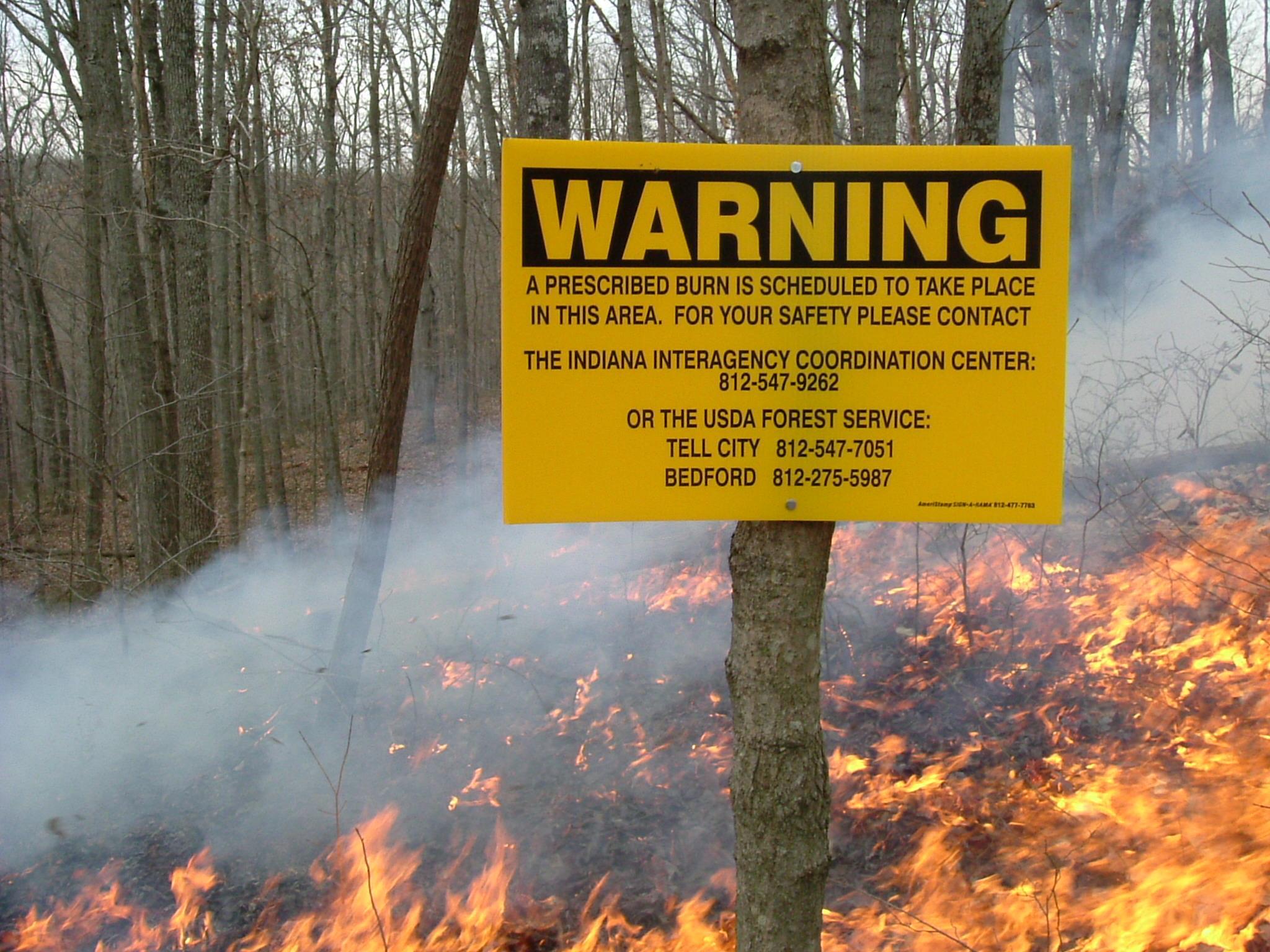 Yellow sign on a tree with flames of the prescribed fire in the background.