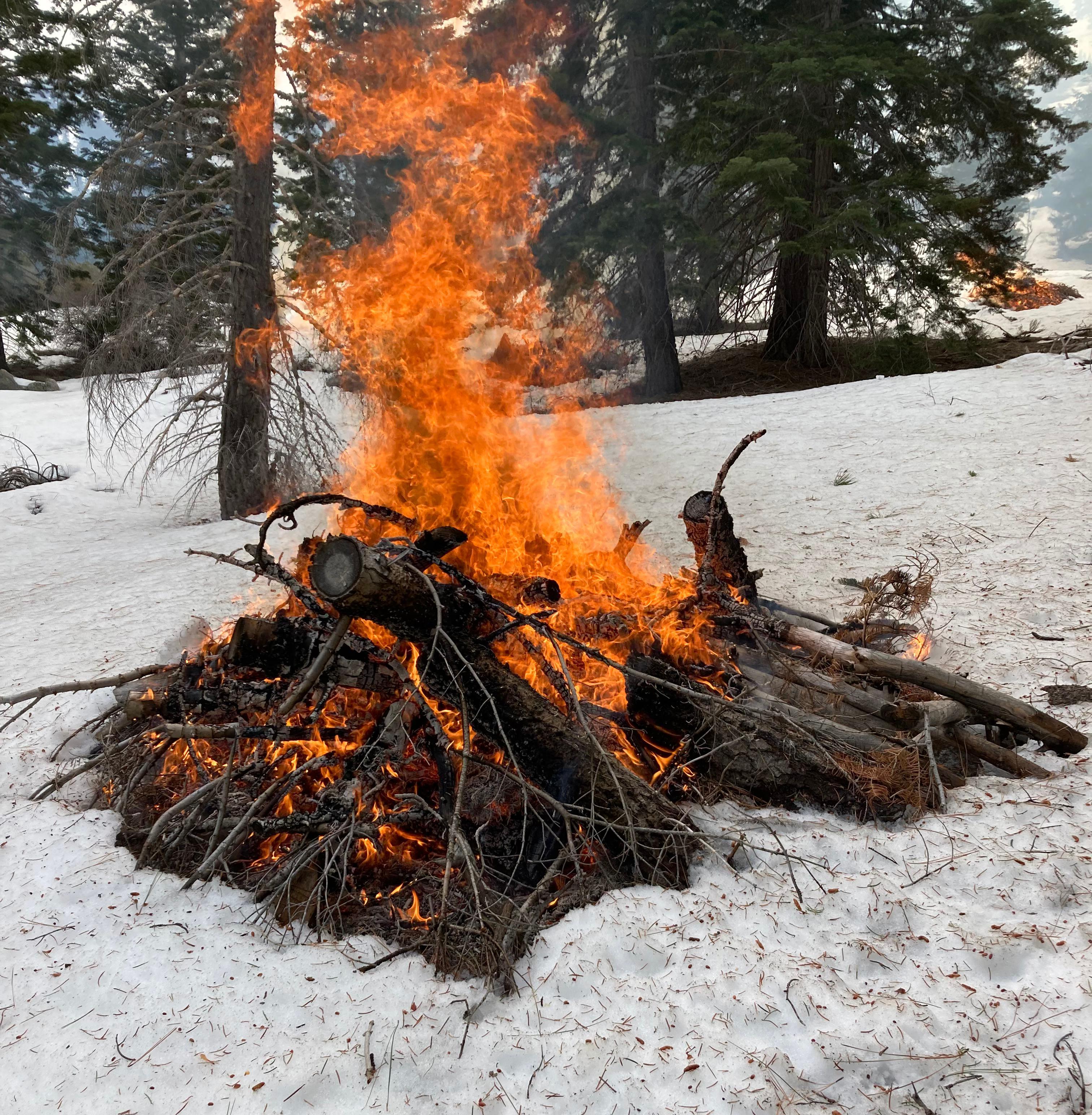 Image of pile burning in the Twin Lakes Area on the Bridgeport Ranger District on March 15, 2022