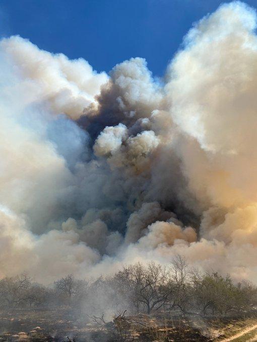 Large dark brown and white plume rises over burned mesquite and grass