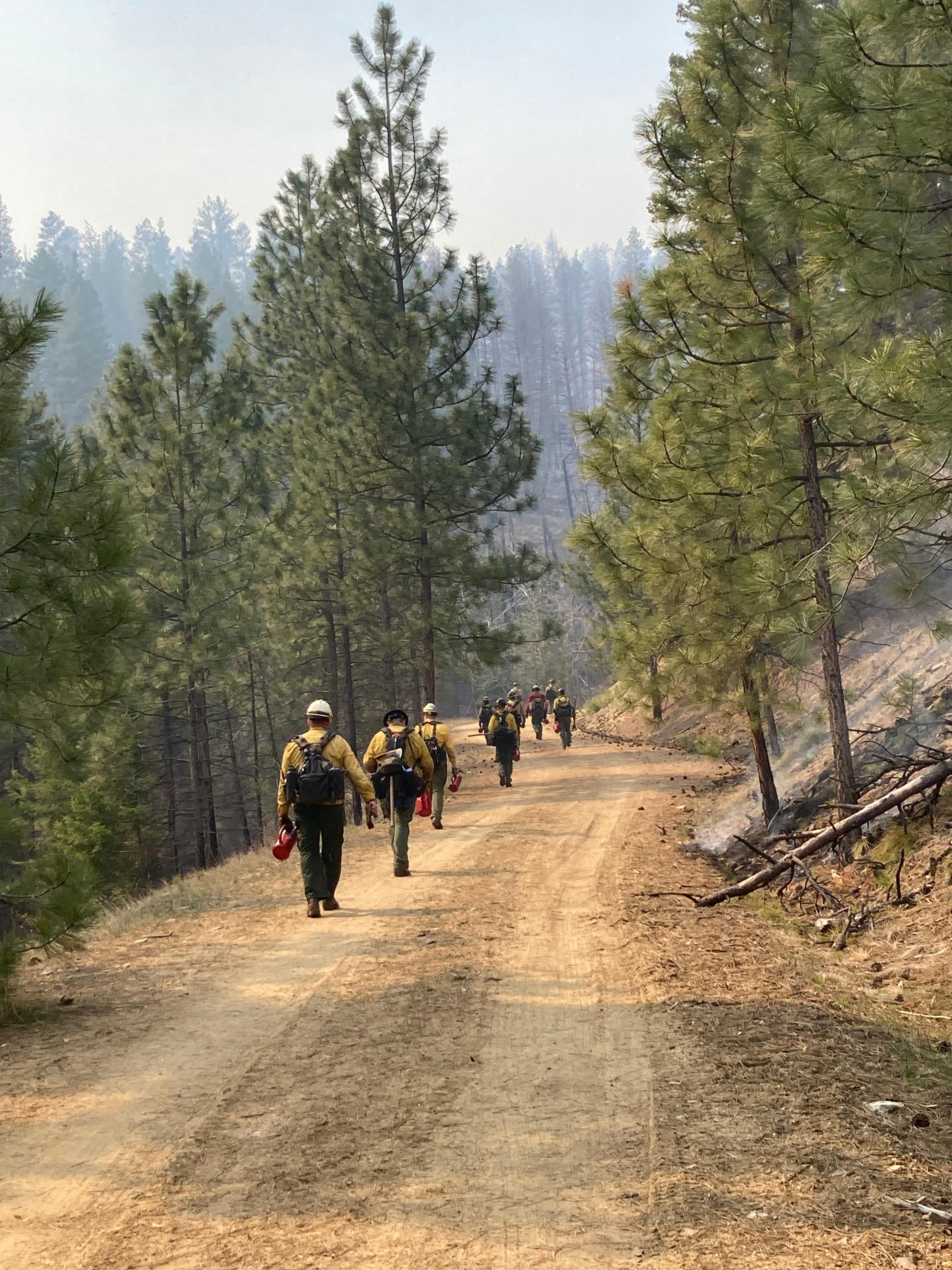 Firefighters hike with drip torches