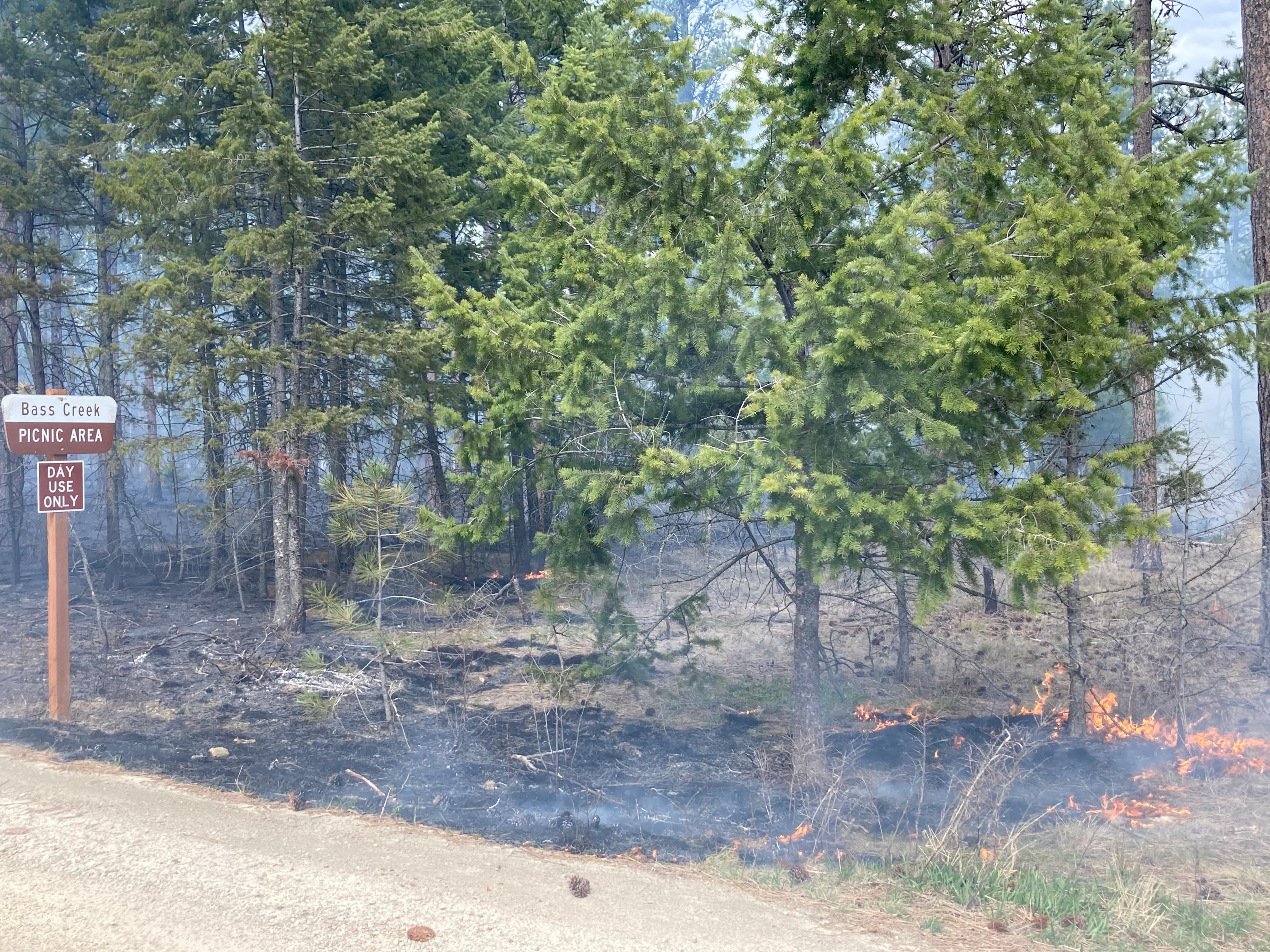 Fire consuming dead vegetation