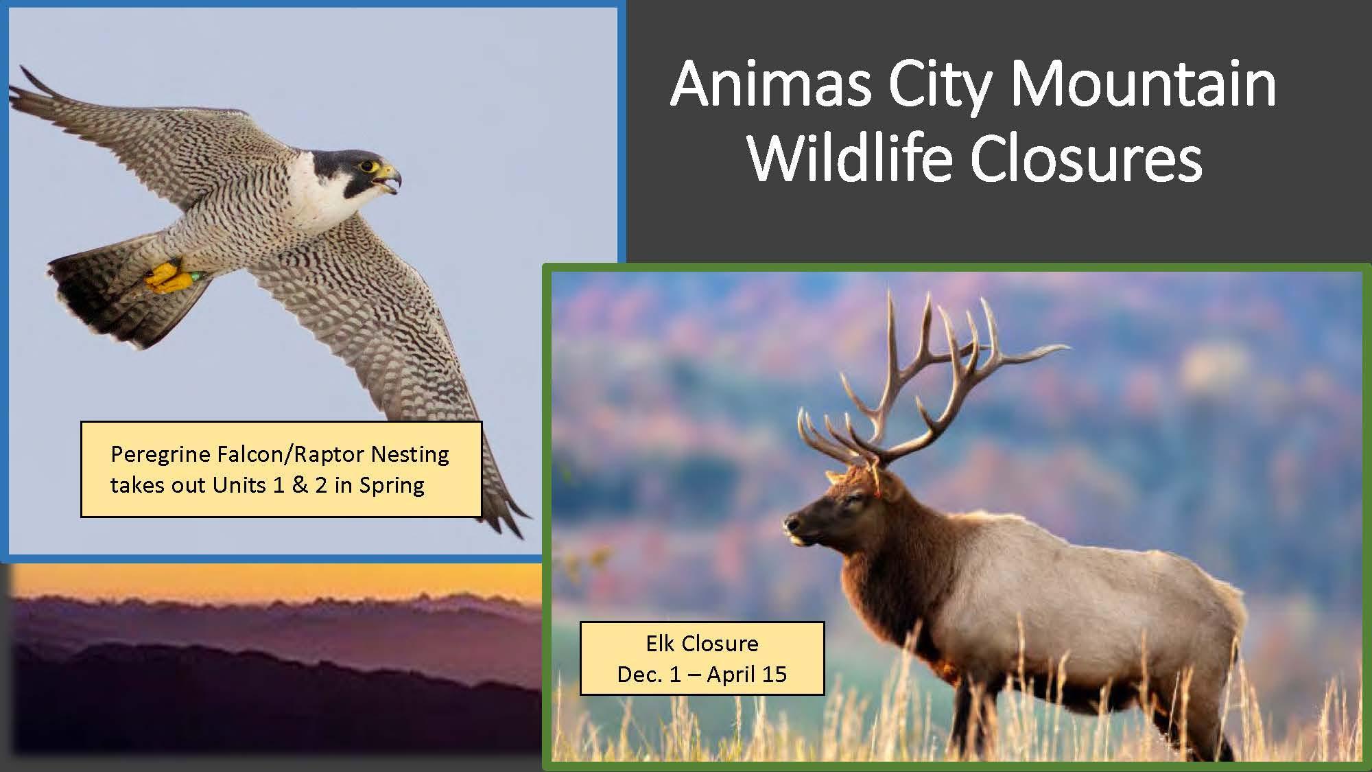 ACM Wildlife Closures